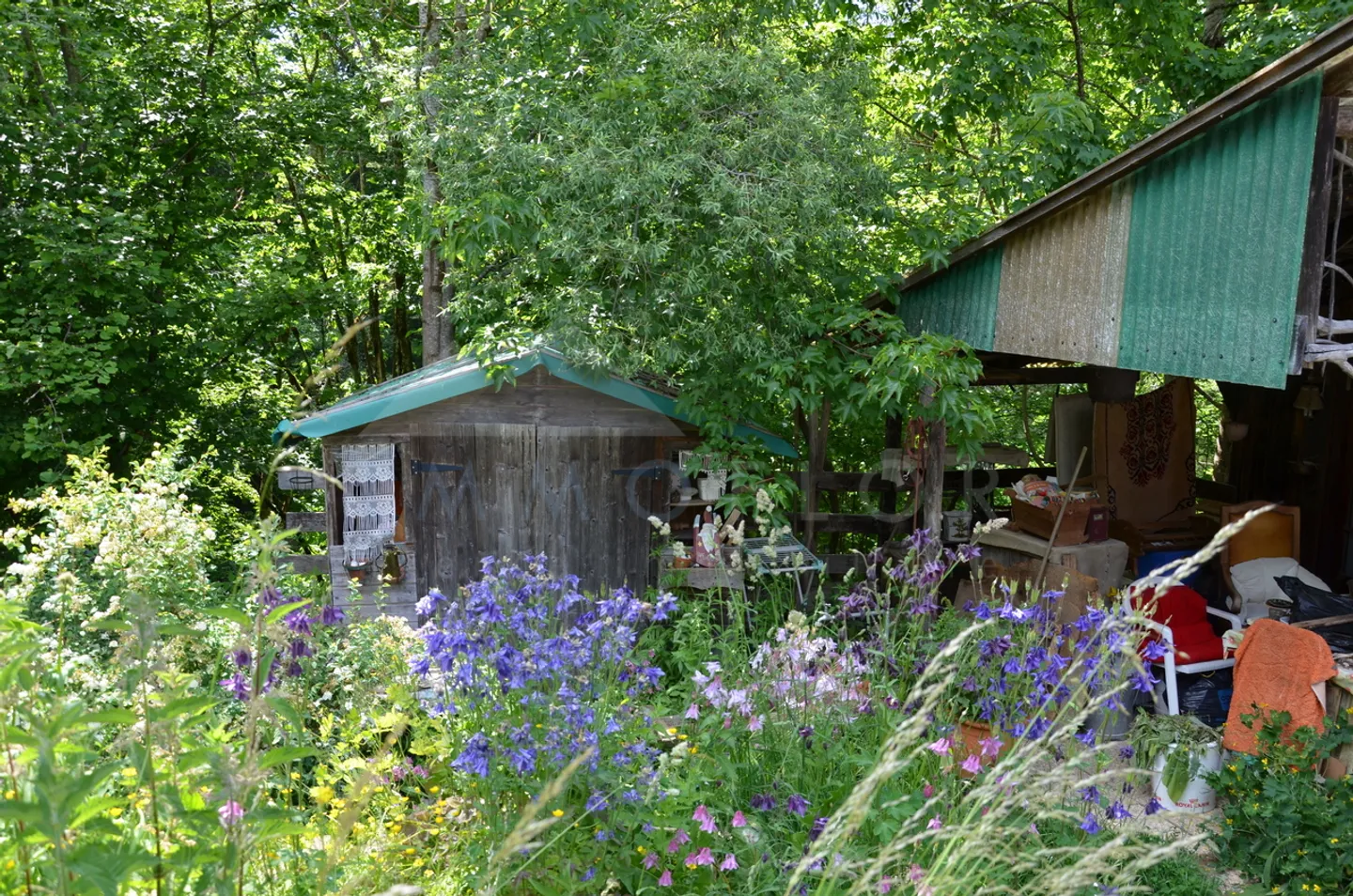 Einfamilienhaus kaufen - Foto 5 von 5