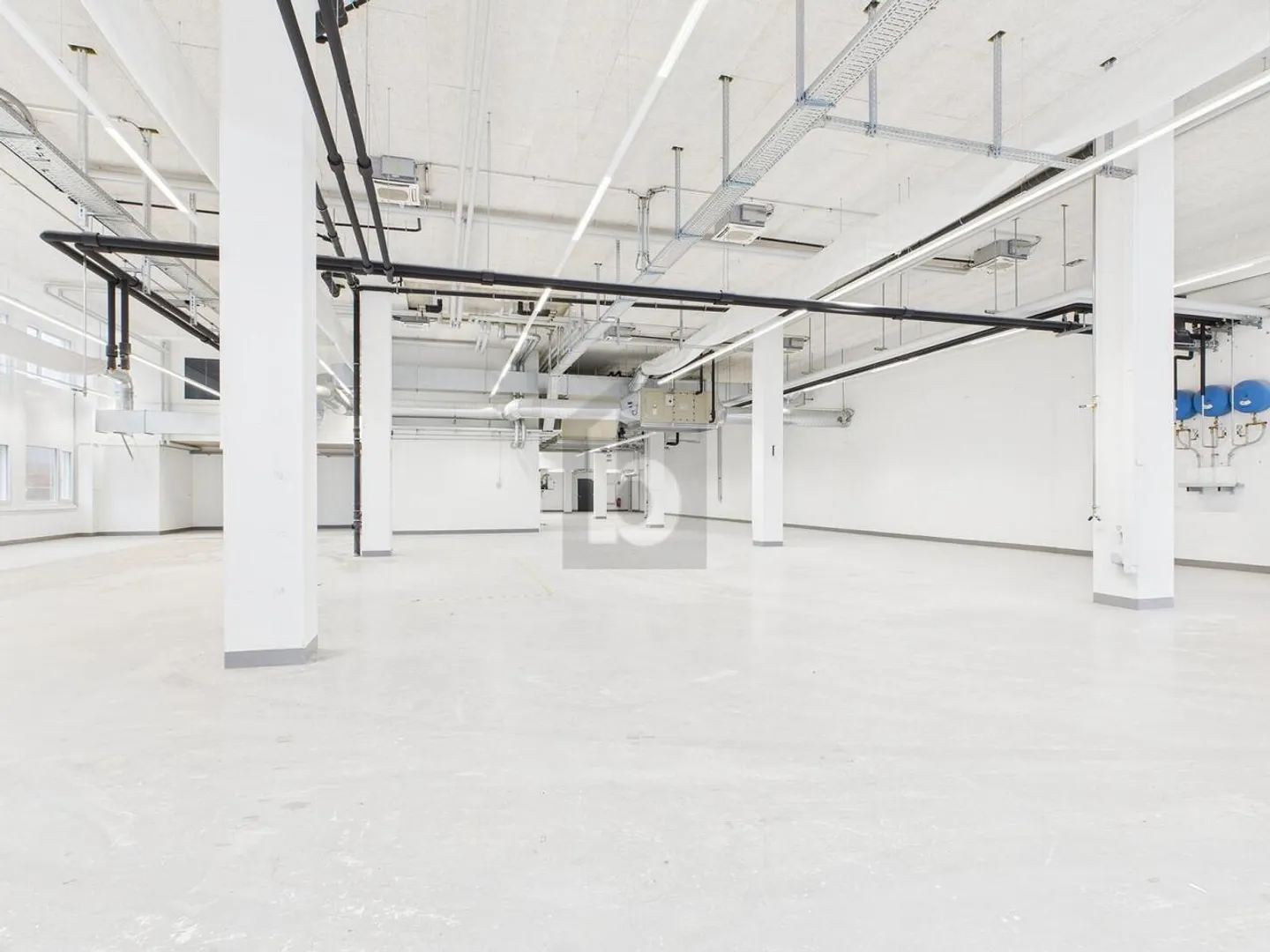 CLIMATISÉ AVEC HAUTES PLAFONDS - Photo 4 sur 6