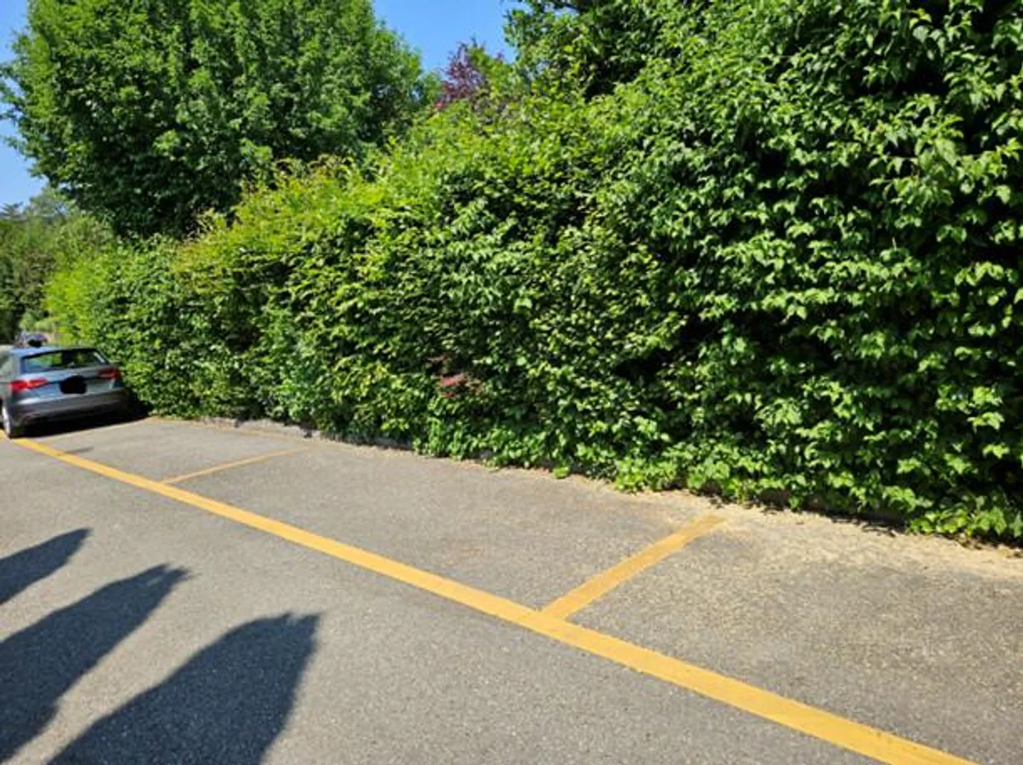 Outdoor parking space in Oberwinterthur for rent from August 1, 2026 - Photo 2 of 3