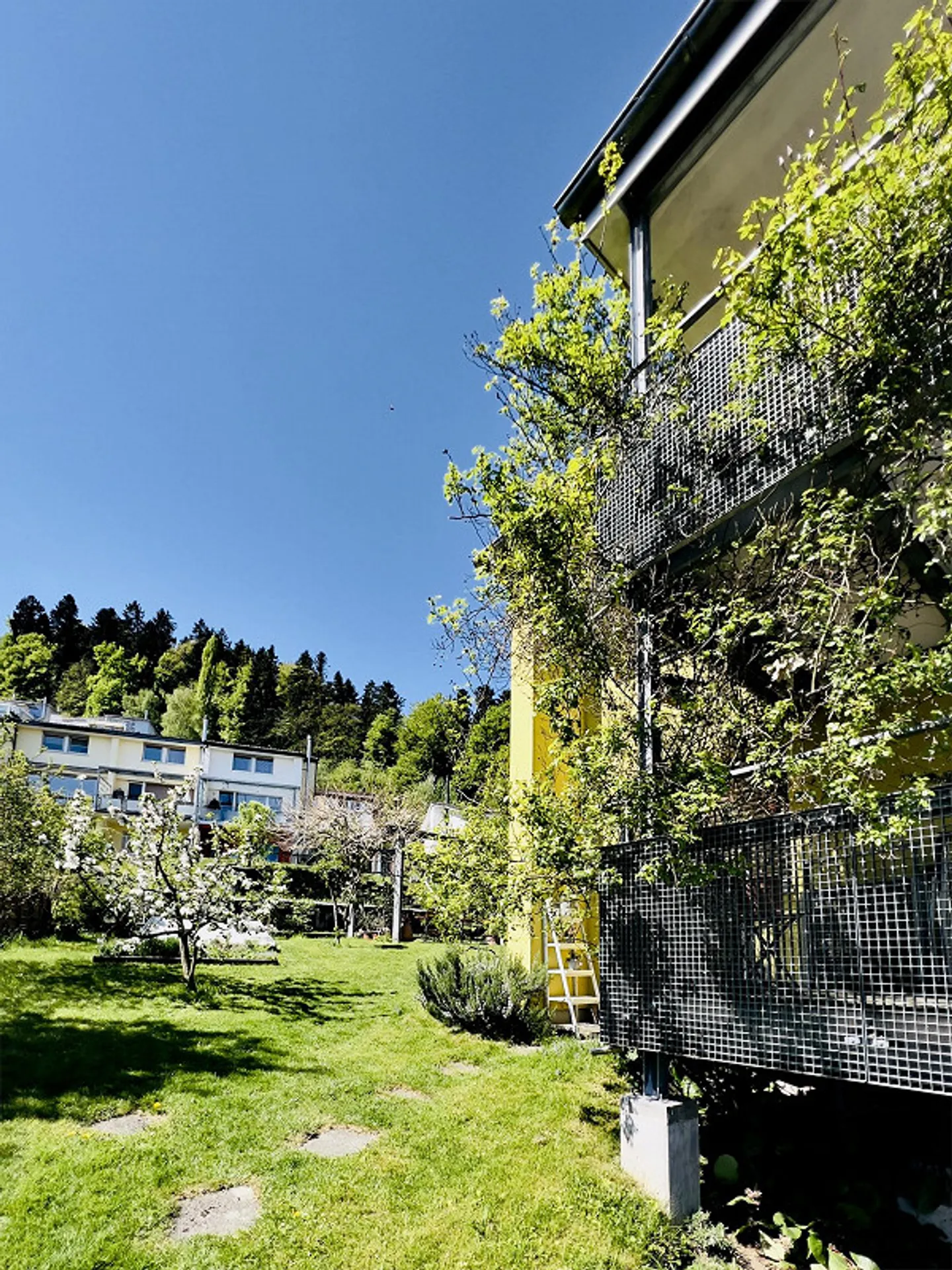 Charmante Wohnung mit Garten - Foto 4 von 18