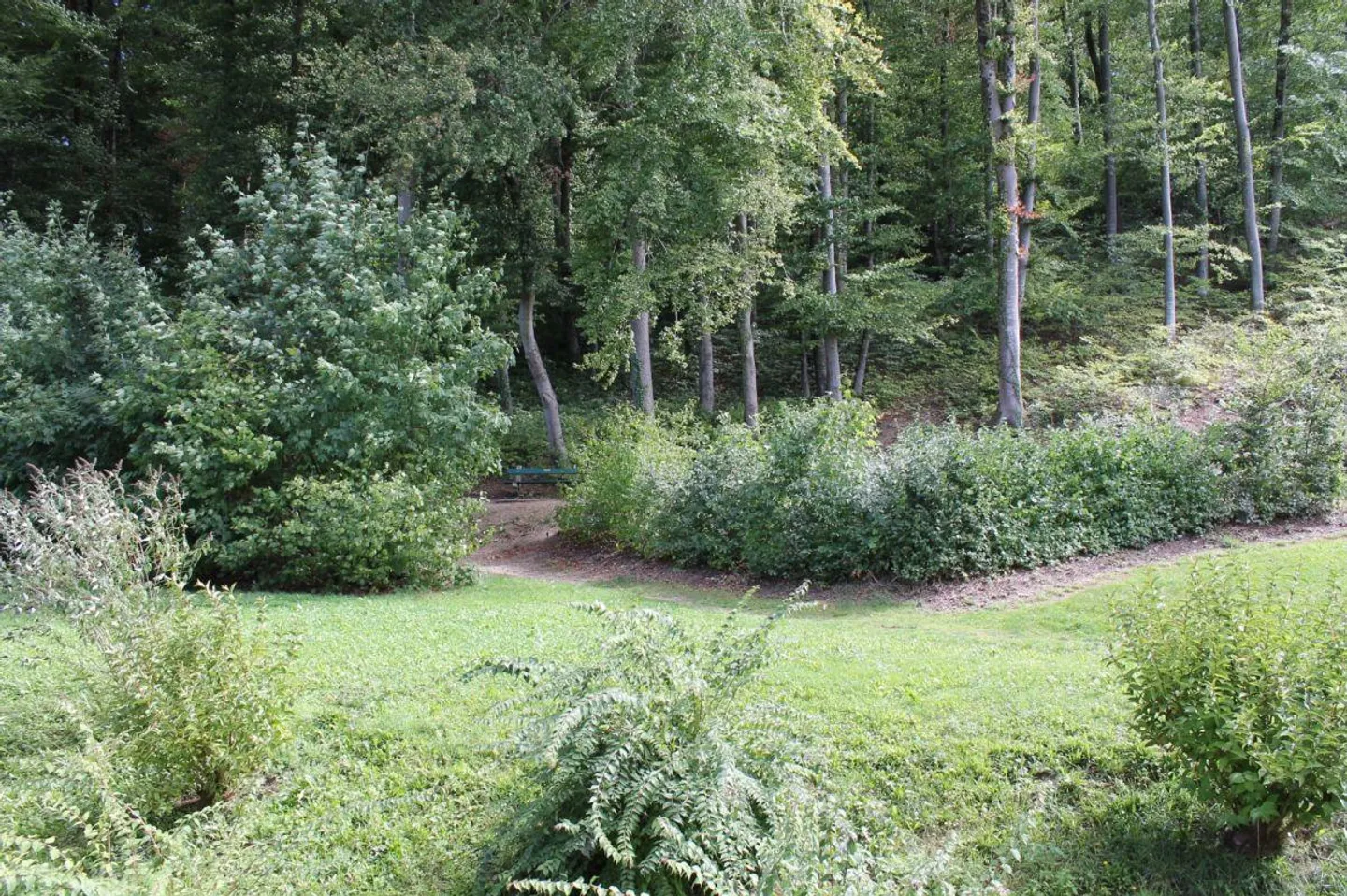 Ruhige Wohnlage mit fixen Nebenkosten - Foto 7 di 8