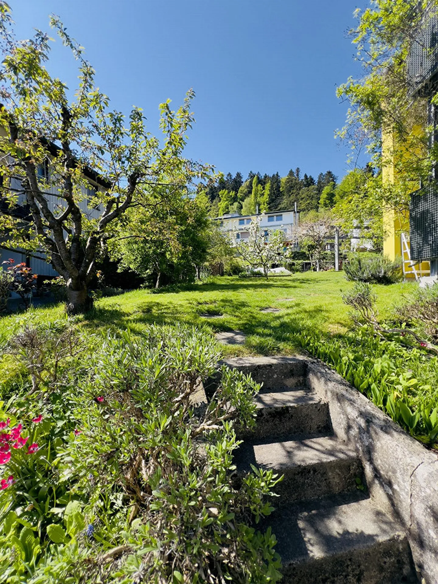 Charmante Wohnung mit Garten - Foto 13 von 18