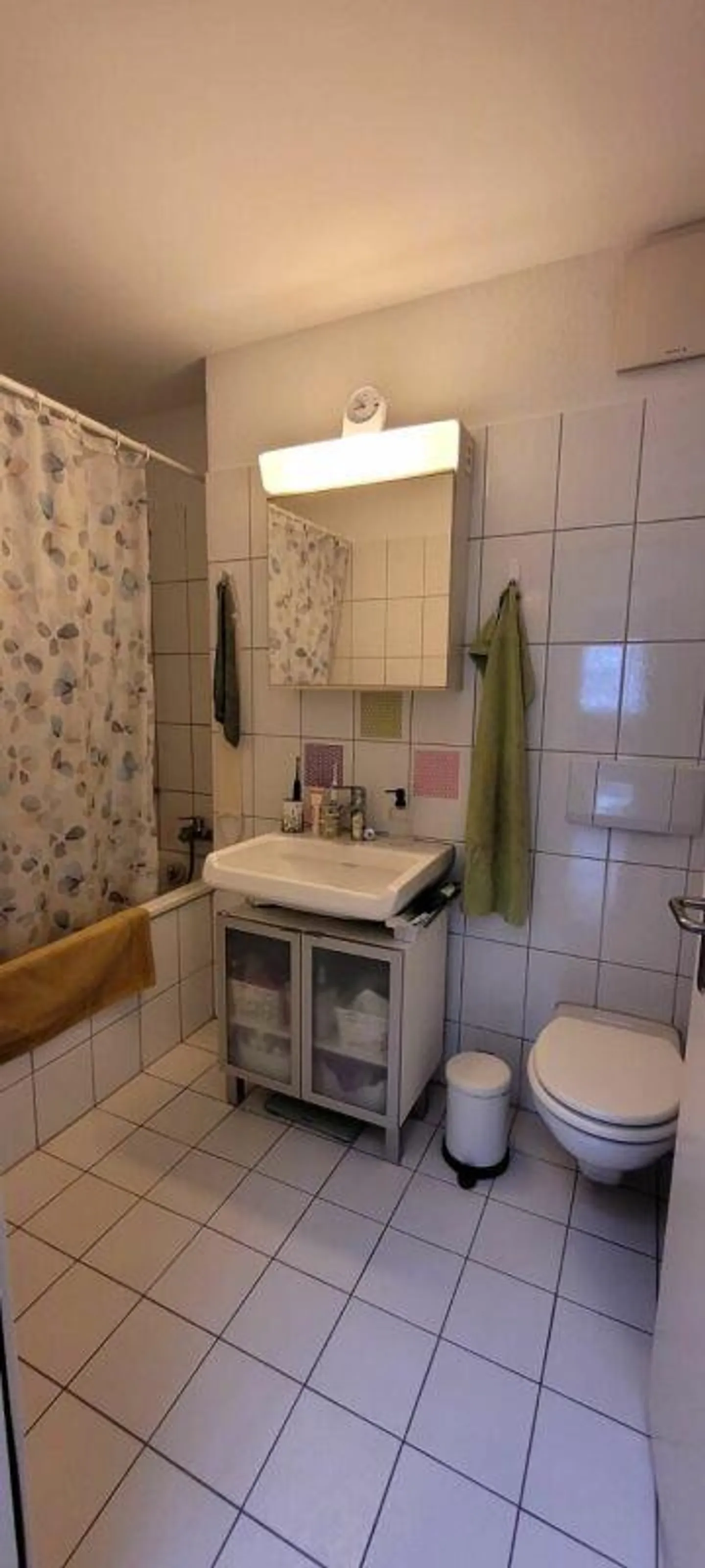 Ampio appartamento di 3,5 locali ad Adliswil - Foto 8 di 8