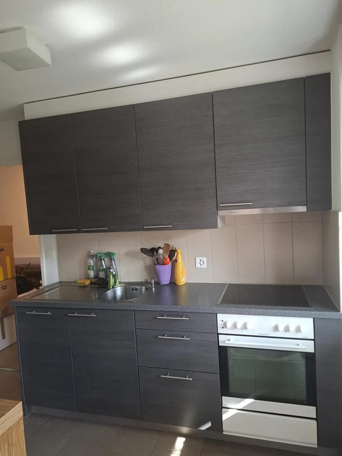 2 1/2 Room Apartment for Rent on the 2nd Floor - Photo 2 of 9