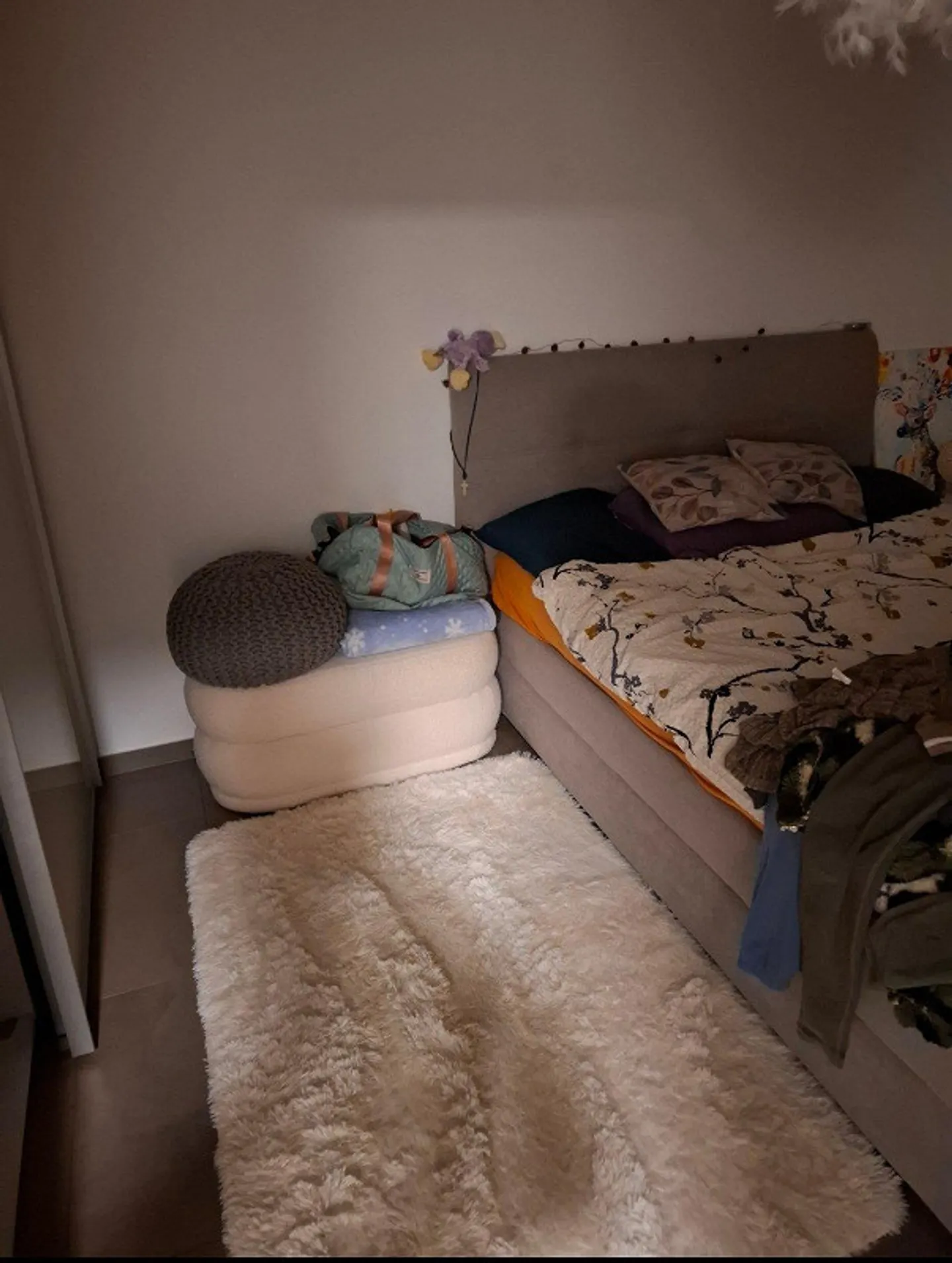 2 1/2 Room Apartment for Rent on the 2nd Floor - Photo 3 of 9