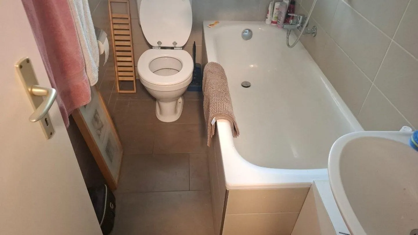 2 1/2 Room Apartment for Rent on the 2nd Floor - Photo 4 of 9