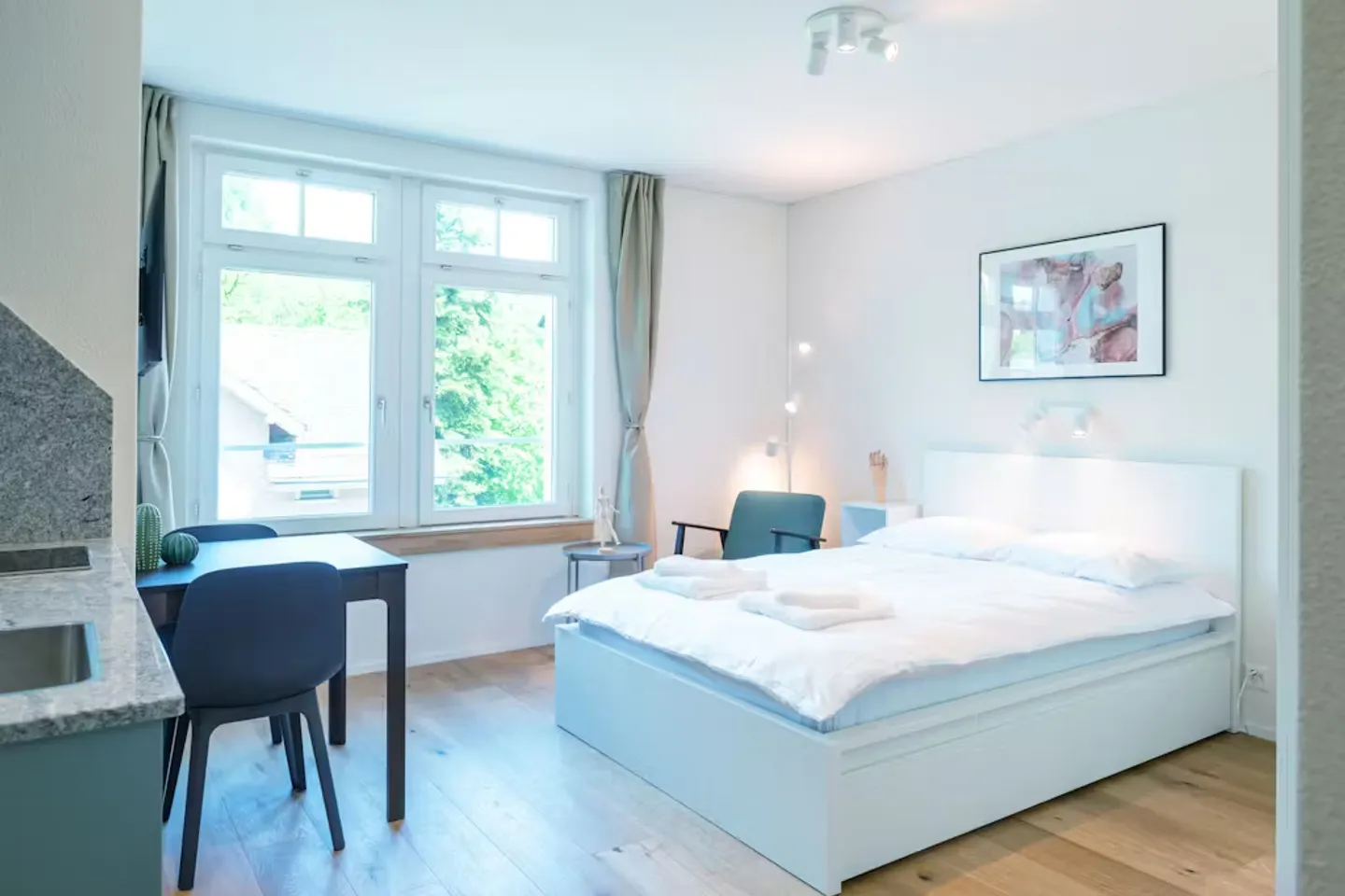 Charming Zurich Apartment - Photo 1 of 8