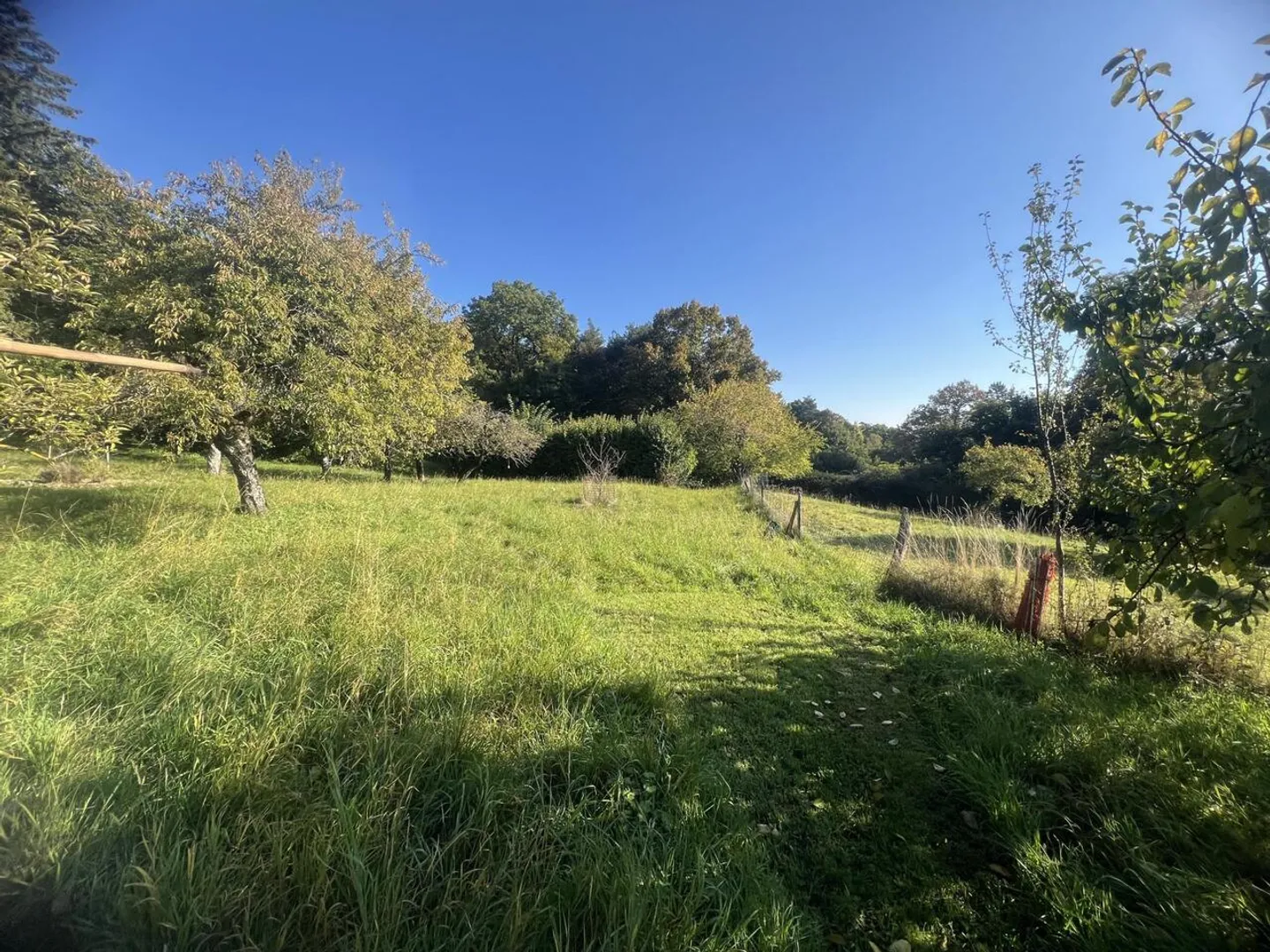 Magnificent building plot of 3,383 m² with a view - Photo 3 of 8
