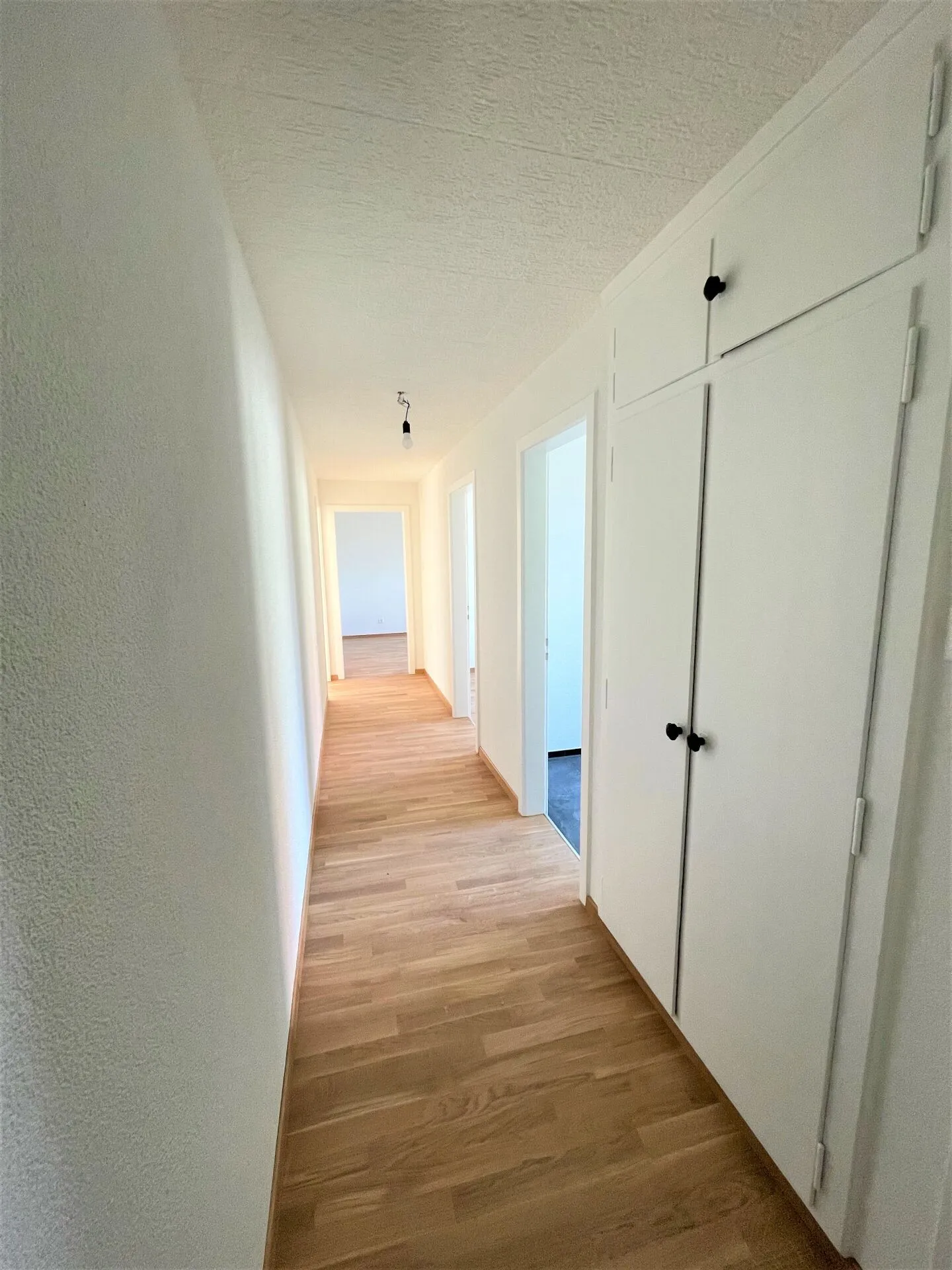 Appartamento 2 camere accogliente in affitto - Foto 3 di 7