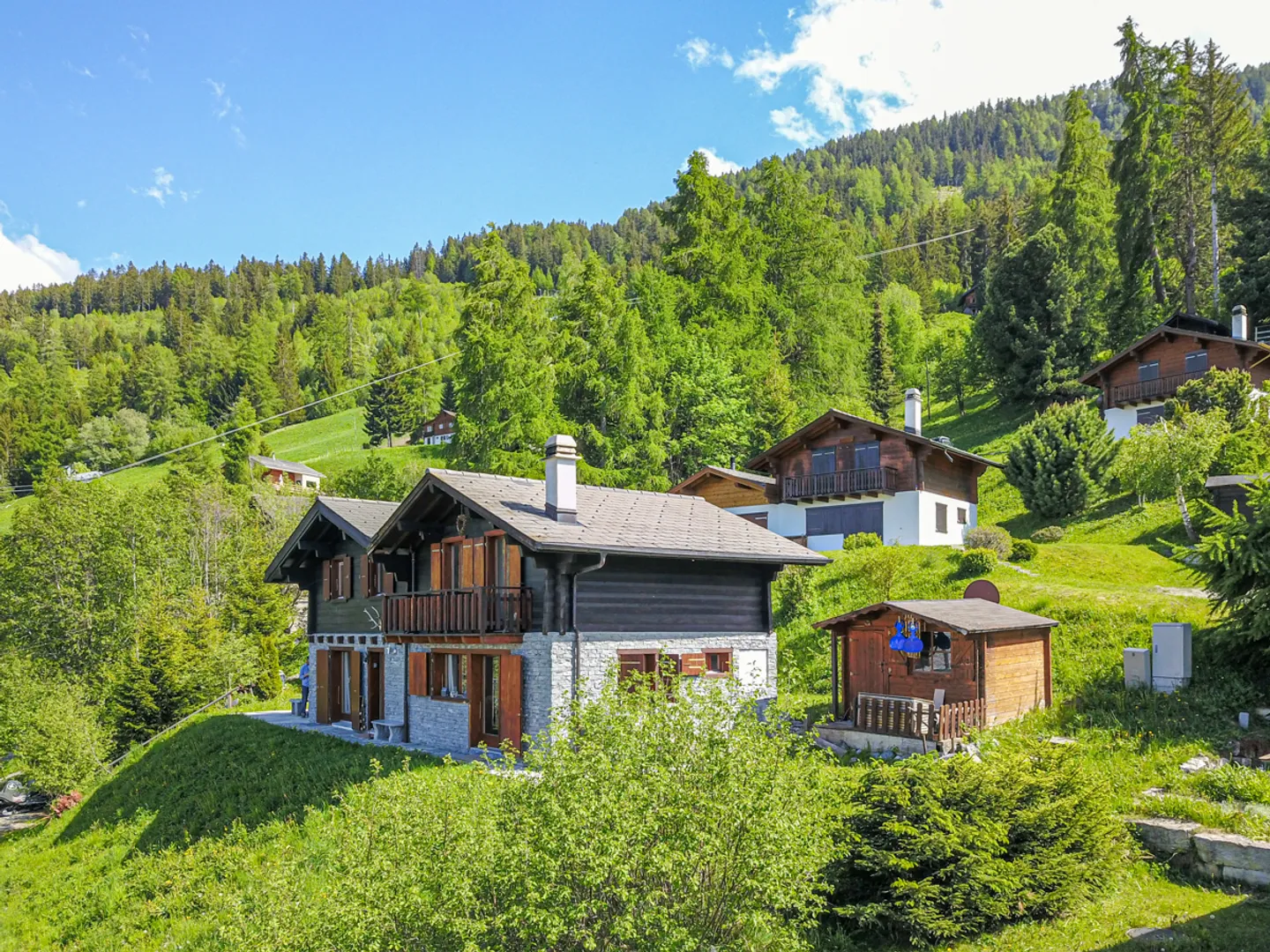 Charmantes Chalet mit Panoramablick und direktem Zugang zu den Pisten - Foto 1 von 13