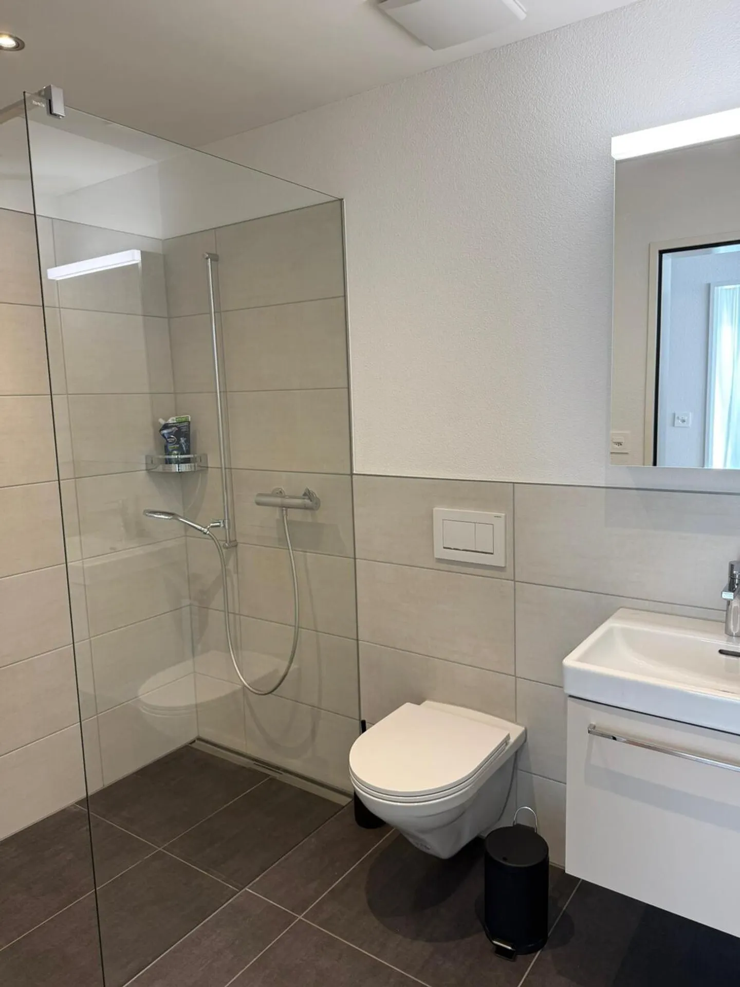 Appartamento spazioso a Brunnen - Foto 9 di 9