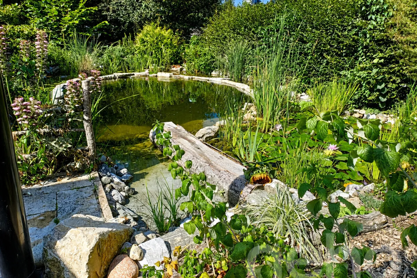 Retraite Nature près de Lausanne - Photo 4 sur 12
