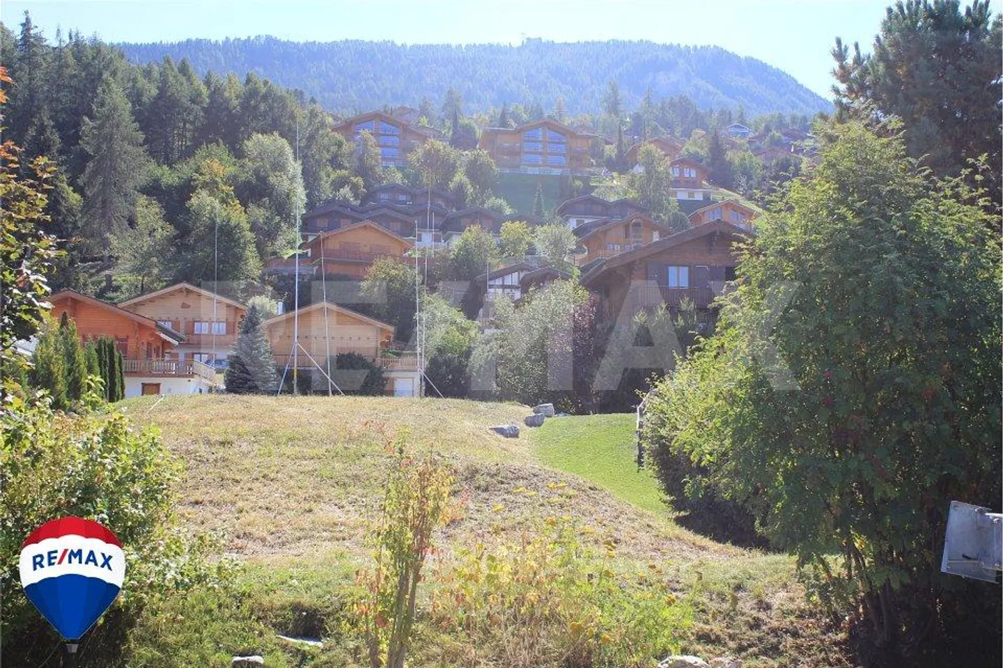 Terreno edificabile con progetto, libero da mandato. - Foto 3 di 4