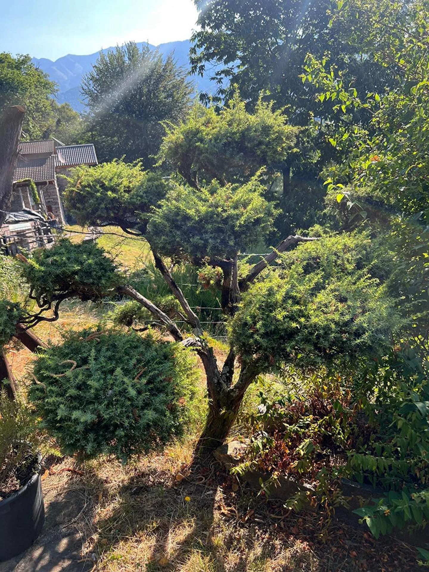 Ein Rückzugsort in den Tessiner Bergen – Rustico mit traumhafter Aussicht - Foto 4 von 19