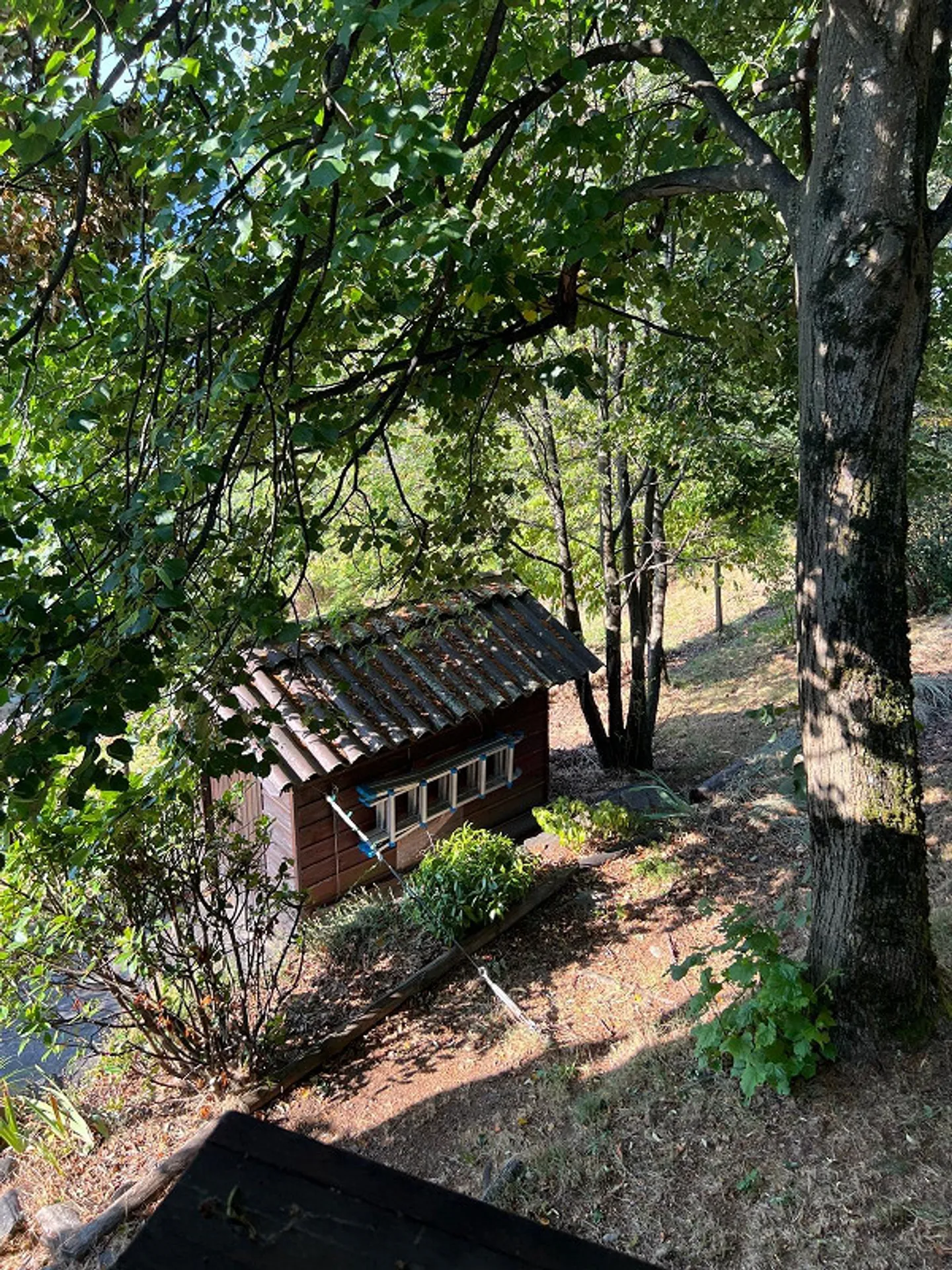 Ein Rückzugsort in den Tessiner Bergen – Rustico mit traumhafter Aussicht - Foto 17 von 19