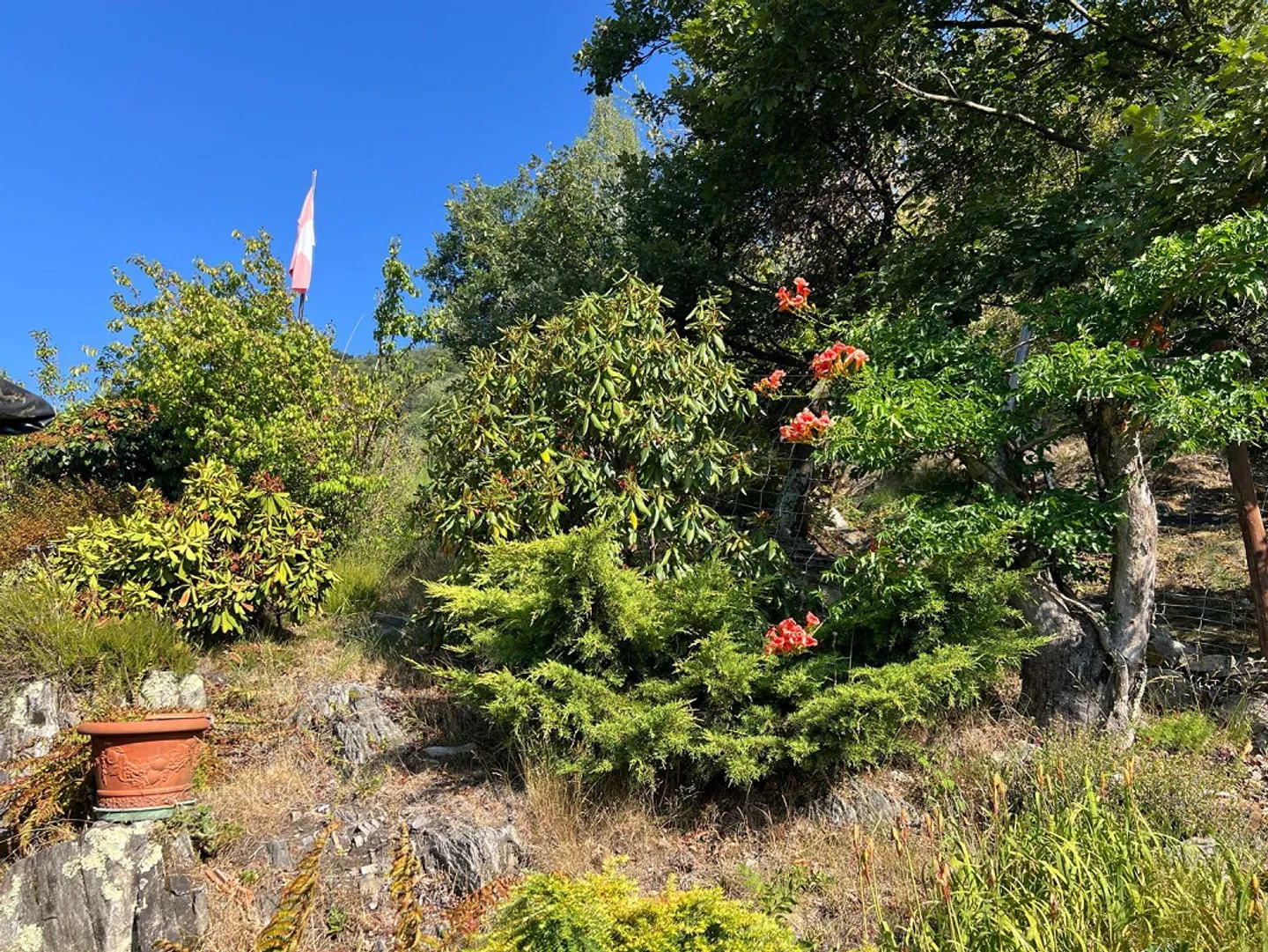 Ein Rückzugsort in den Tessiner Bergen – Rustico mit traumhafter Aussicht - Foto 15 von 19