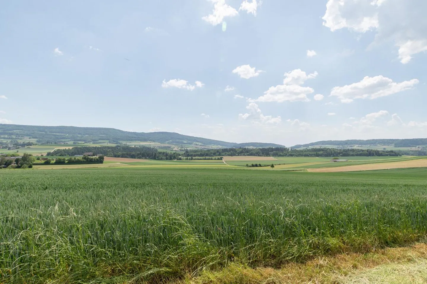 Seltene Baulandparzelle in schöner Lage - Foto 3 von 7