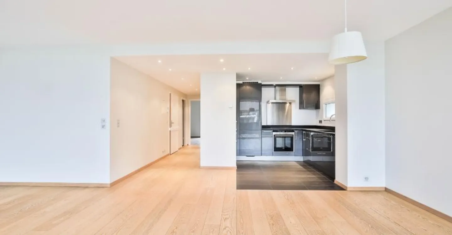 Large 3.5-room apartment - Photo 4 of 12