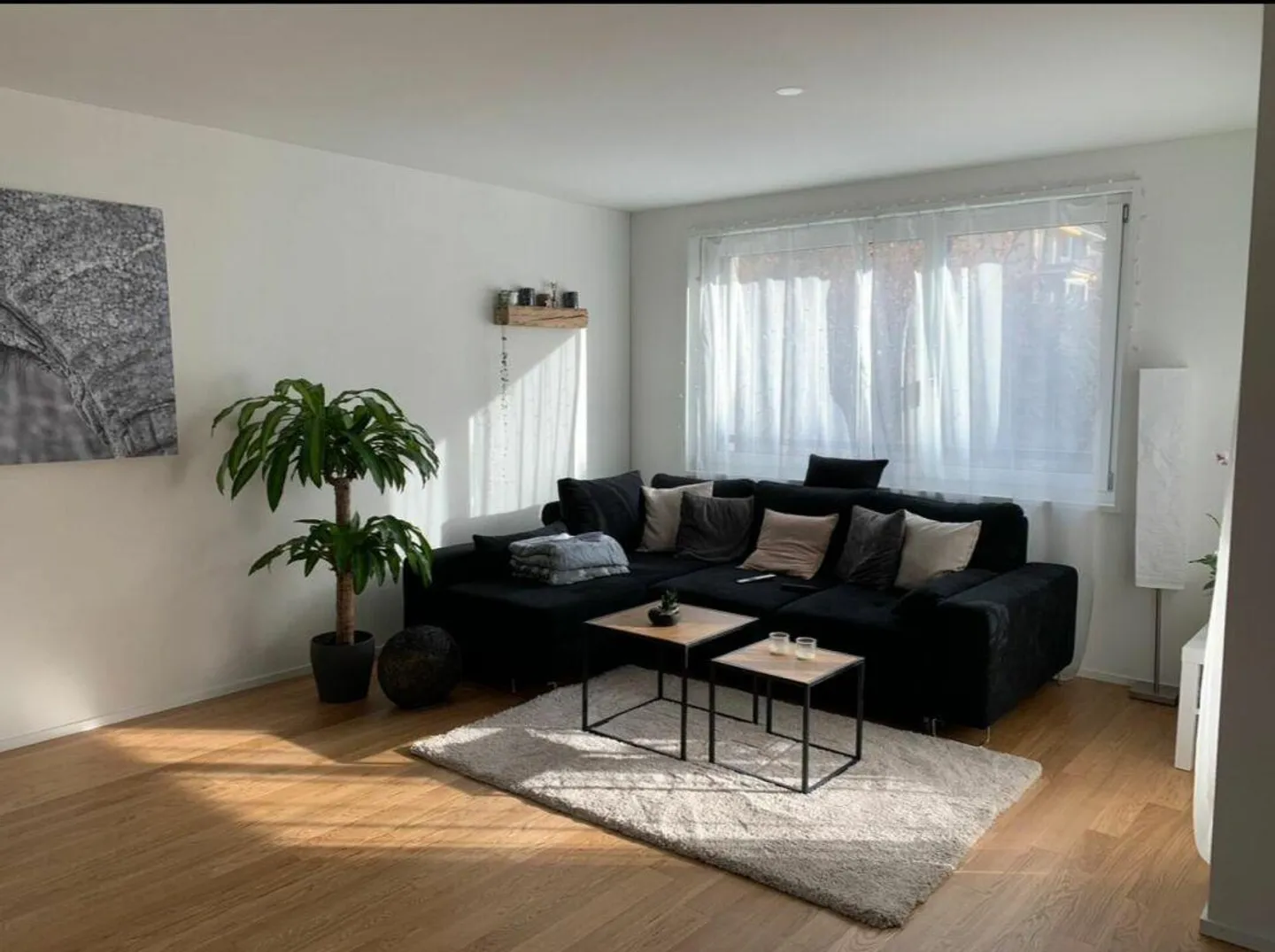 Modern 2.5-room apartment in a central residential area seeks new tenant - Photo 2 of 16