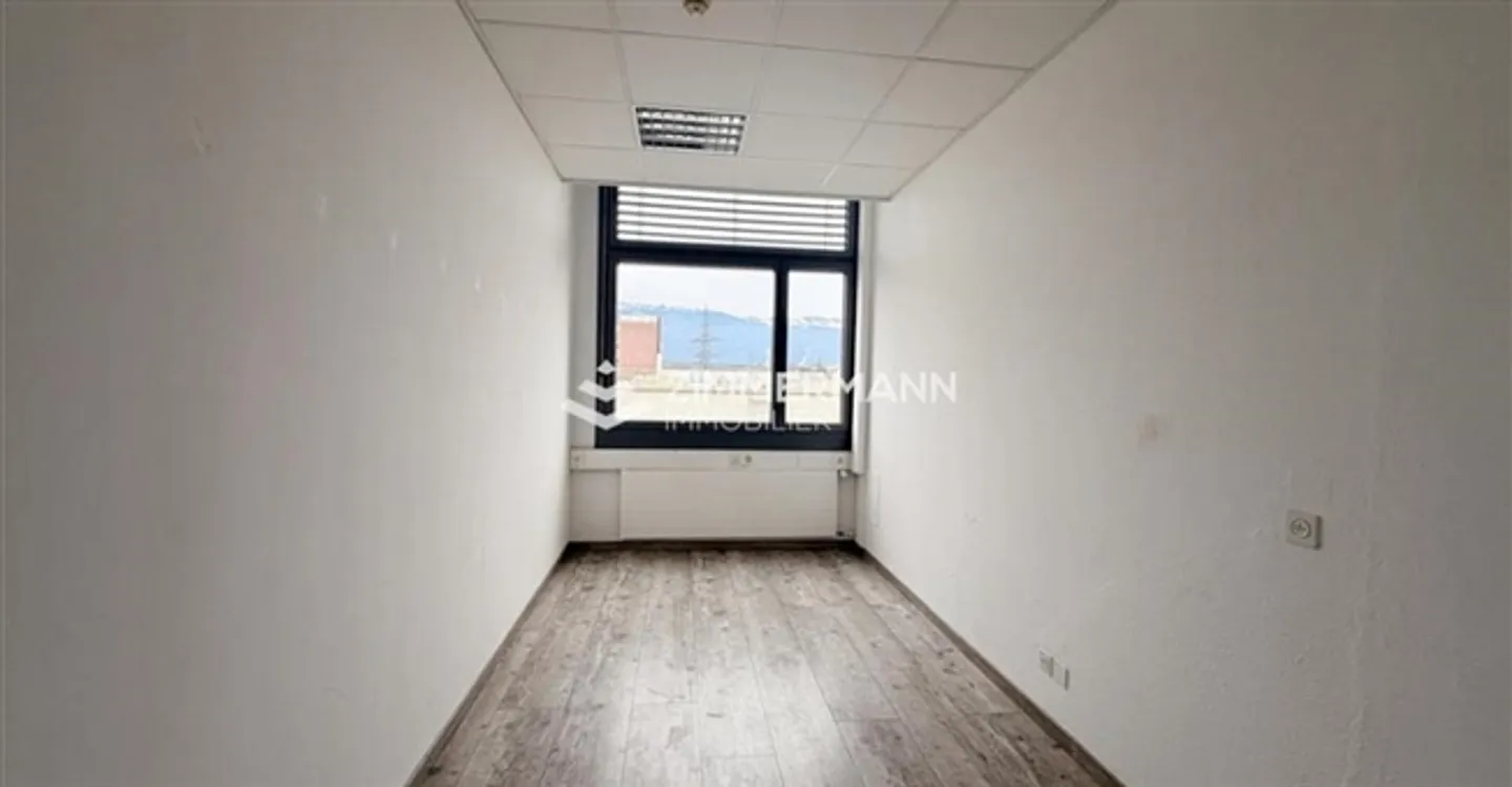 Commercio - Foto 5 di 8