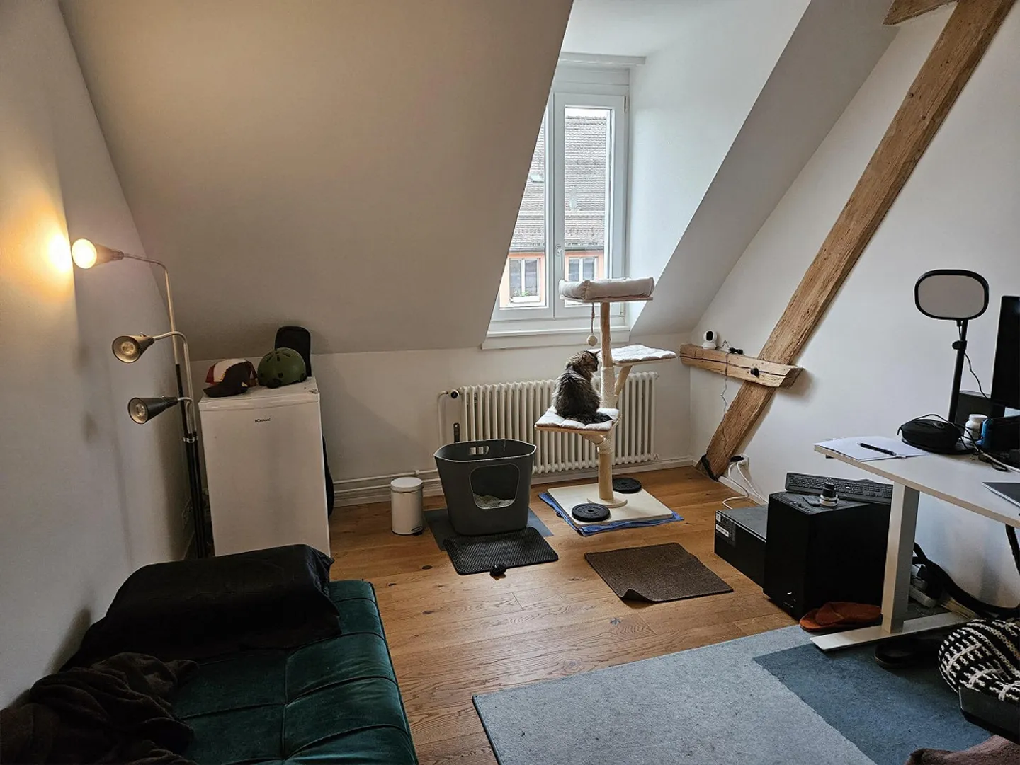 Incantevole appartamento maisonette di 3,5 stanze a Zurigo - Foto 9 di 13