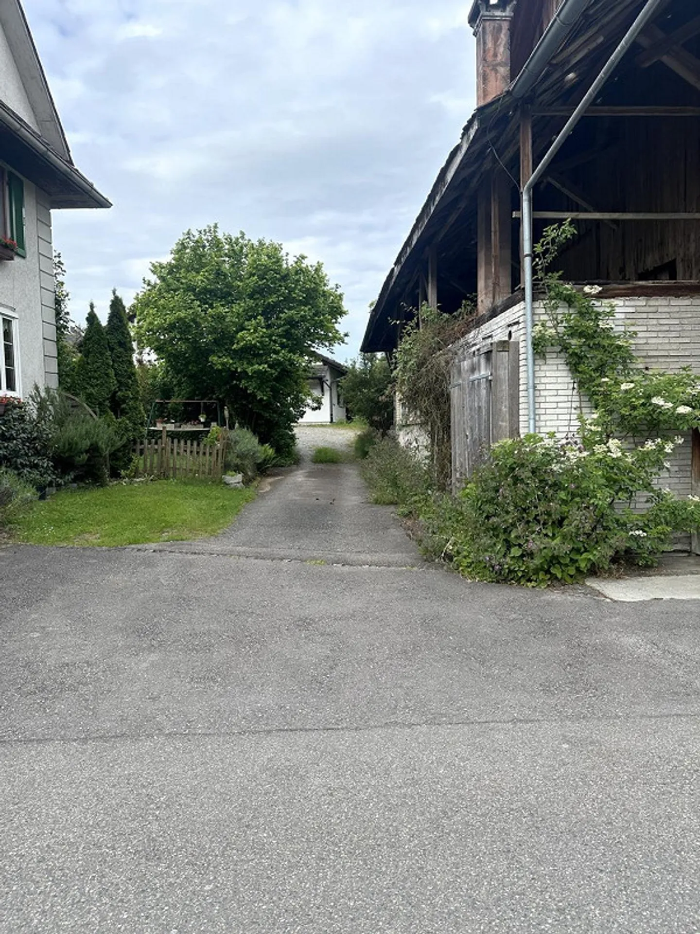 Terrain de 2'667 m² avec un grand potentiel de développement à Obfelden - Photo 5 sur 7