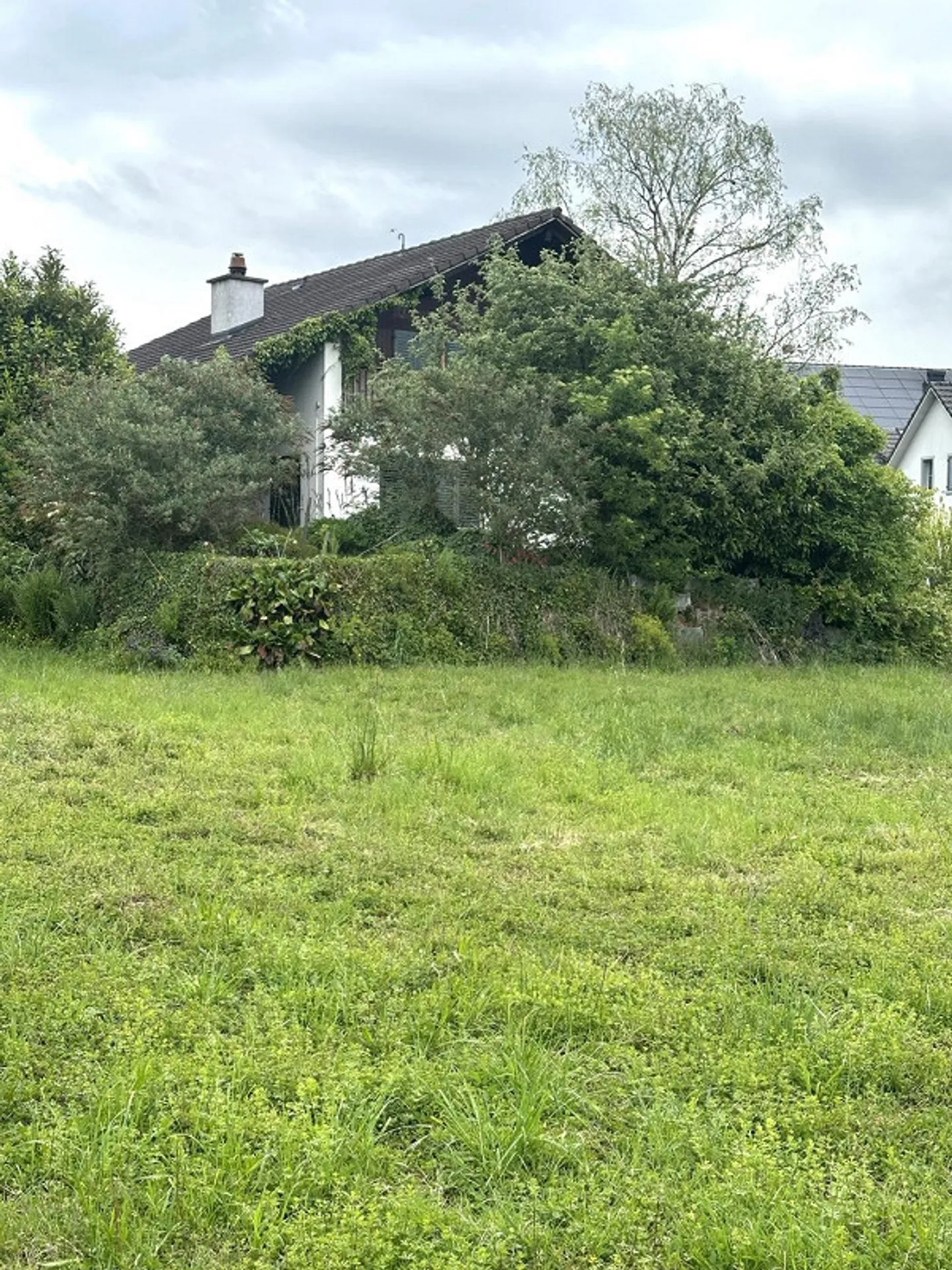 Terrain de 2'667 m² avec un grand potentiel de développement à Obfelden - Photo 6 sur 7