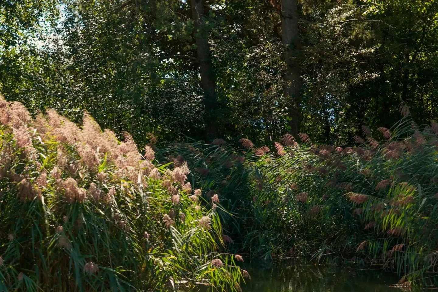 Naturparadies Villa bei Zürich - Foto 5 von 19