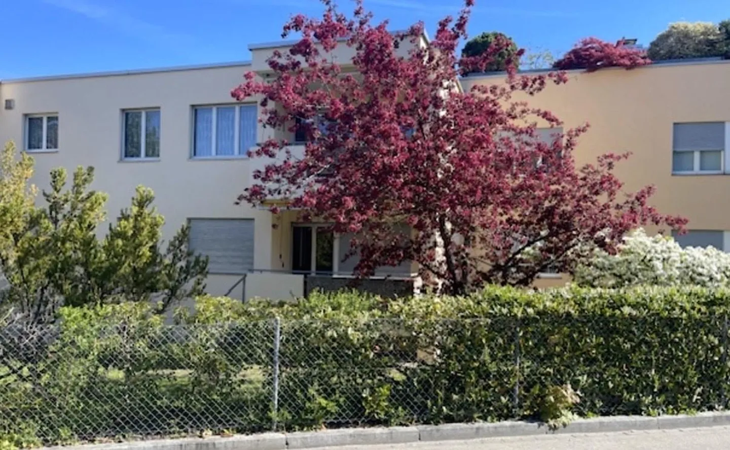 5.5-room condominium (ground floor) approx. 120 m2 in a quiet location in Zurich - Photo 1 of 1