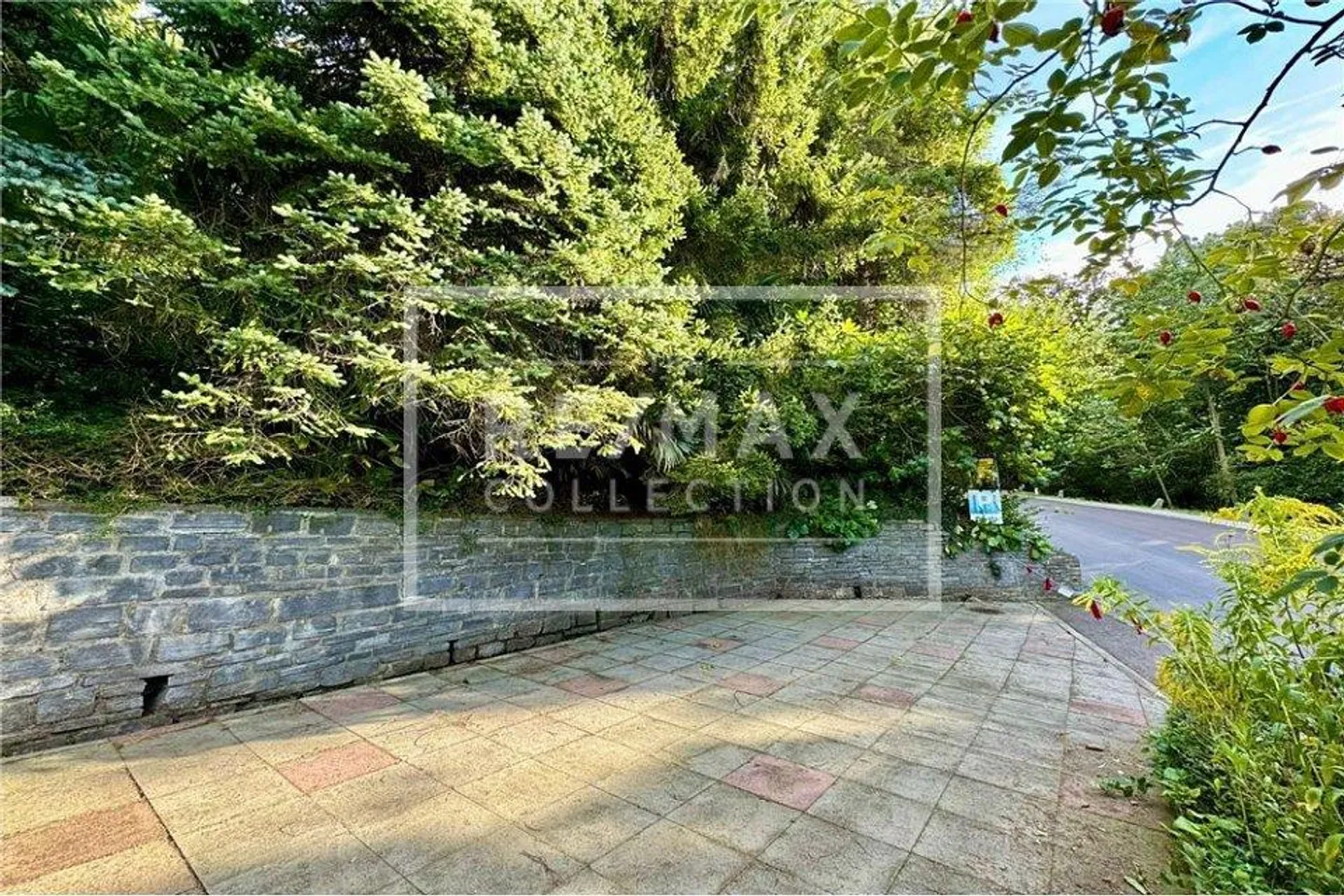Lugano - Grande terreno edificabile nel verde | Lugano - Grosses, bebaubares Grundstück im Grünen  Atemberaubende Aussicht! - Foto 4 von 9