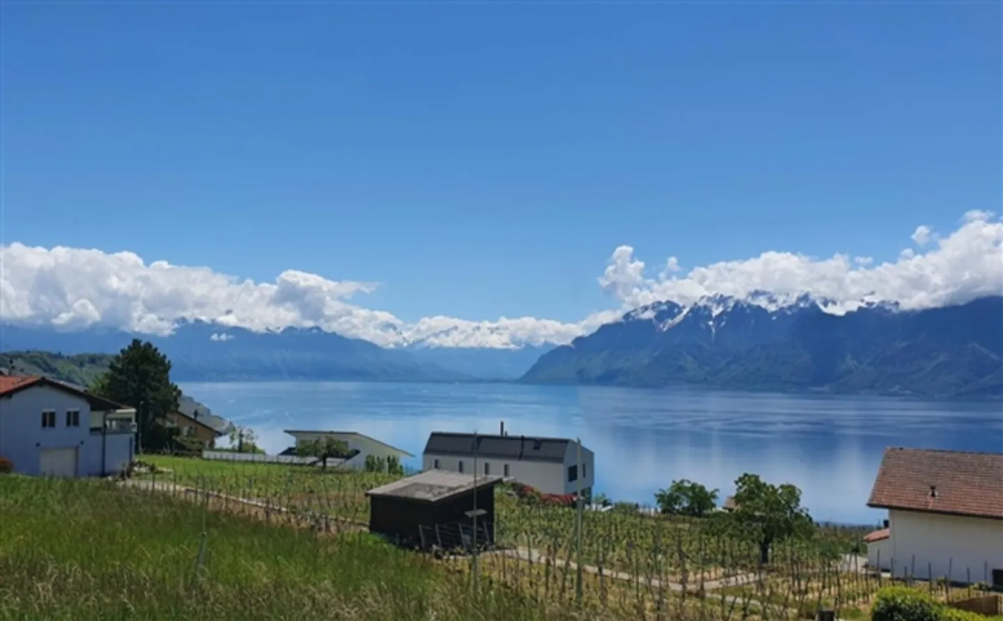 Attique - Photo 1 sur 12