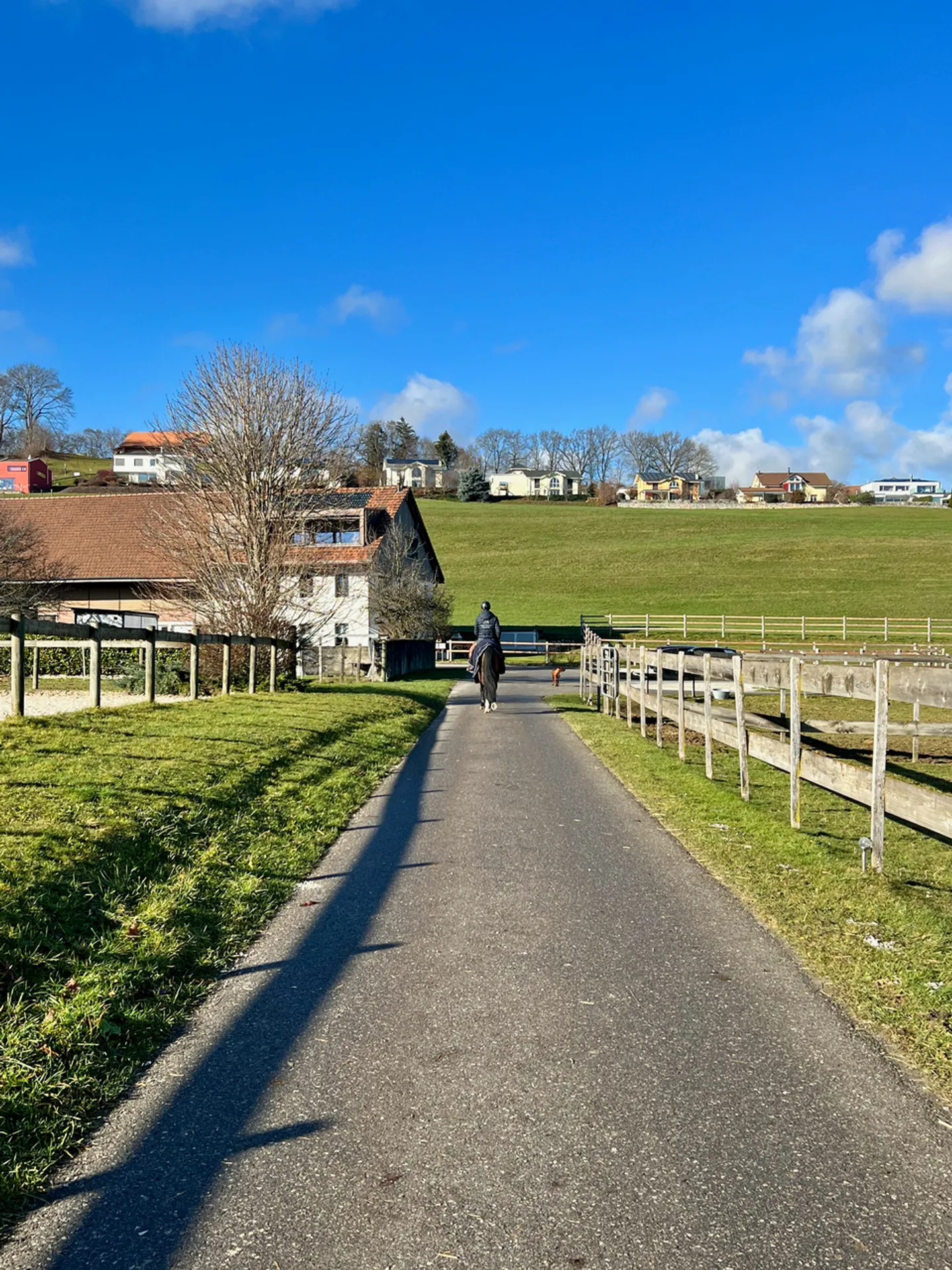 Active Riding School for Sale in the Canton of Fribourg - Photo 1 of 2