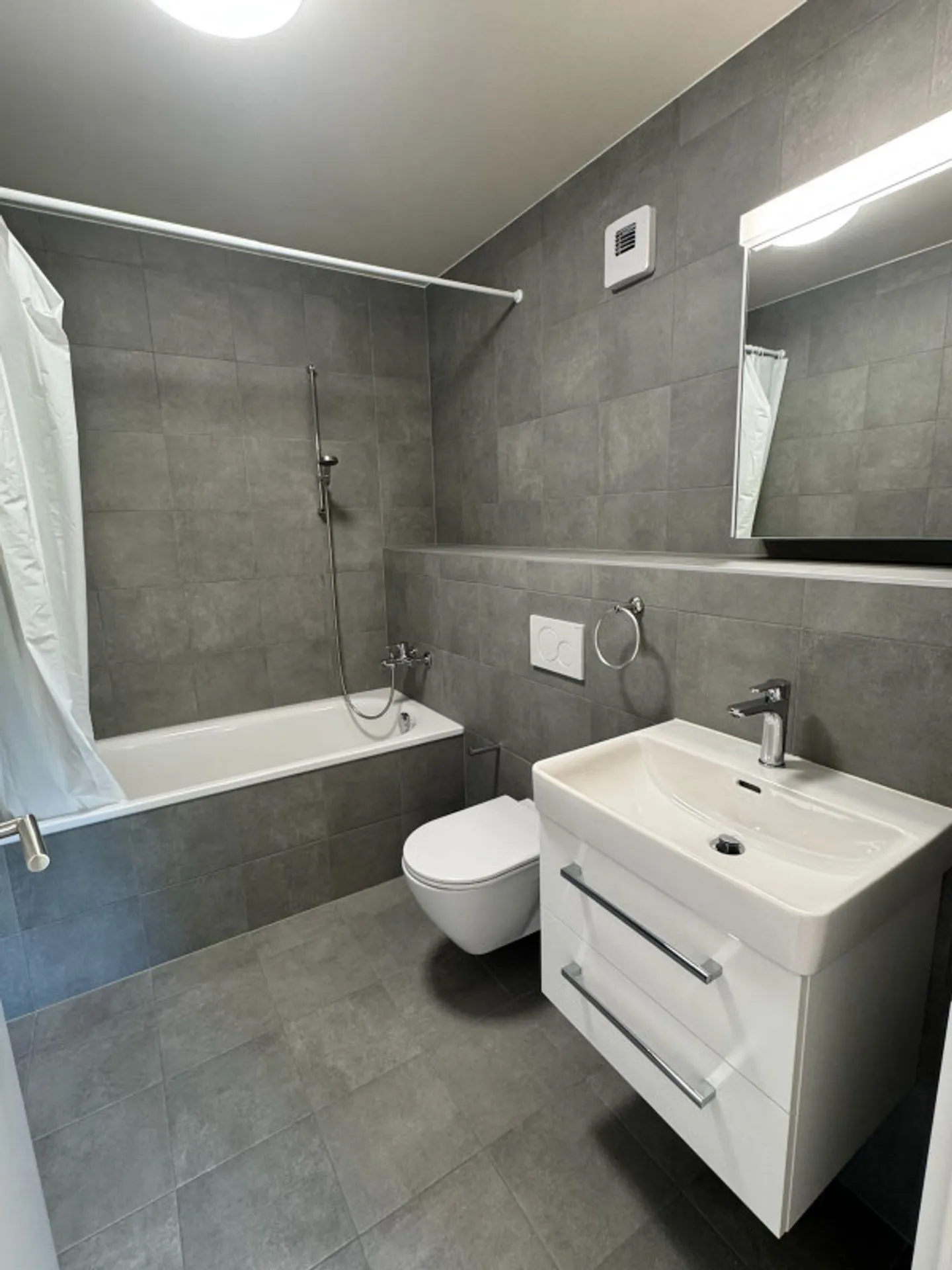 EXCEPTIONAL JEWEL IN PREGNY-CHAMBÉSY: 5.5 NEW ROOMS (2022) RIGHT BANK! - Photo 4 of 13