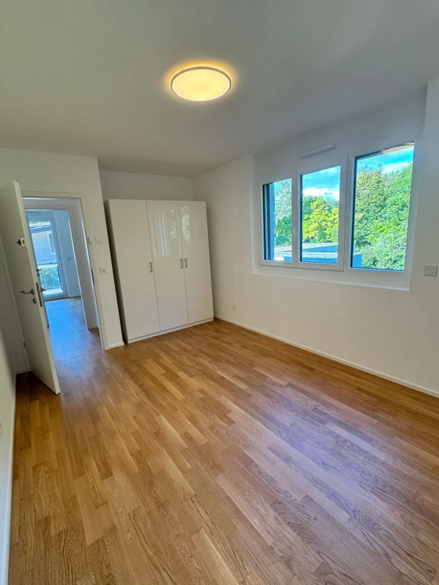 EXCEPTIONAL JEWEL IN PREGNY-CHAMBÉSY: 5.5 NEW ROOMS (2022) RIGHT BANK! - Photo 5 of 13