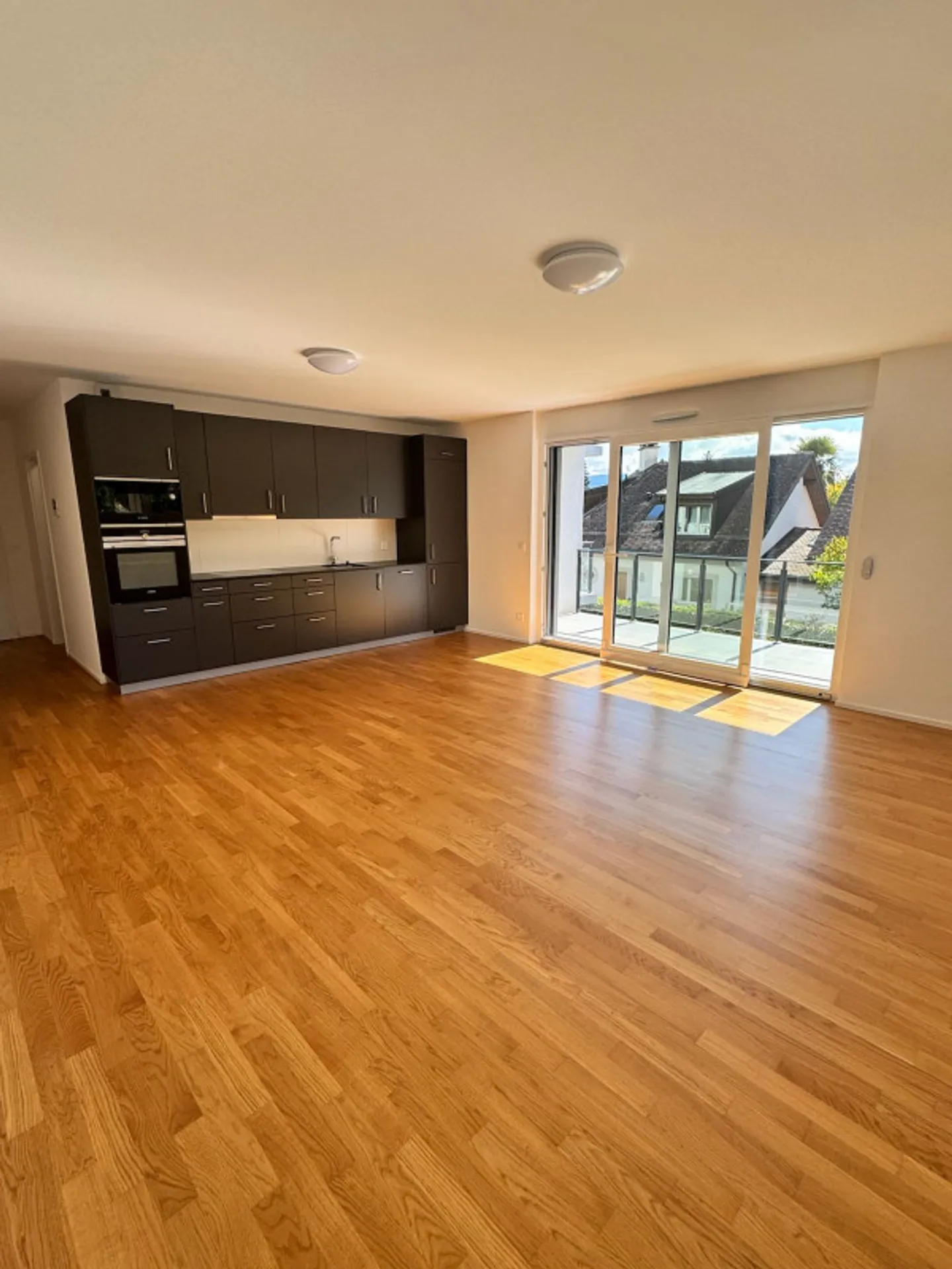 EXCEPTIONAL JEWEL IN PREGNY-CHAMBÉSY: 5.5 NEW ROOMS (2022) RIGHT BANK! - Photo 8 of 13