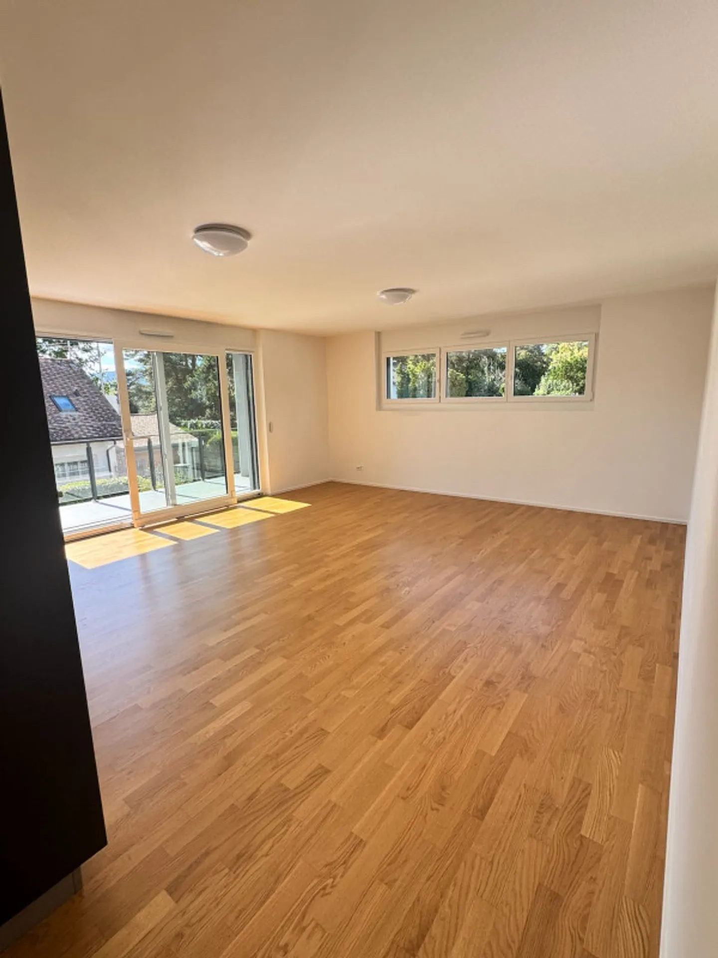 EXCEPTIONAL JEWEL IN PREGNY-CHAMBÉSY: 5.5 NEW ROOMS (2022) RIGHT BANK! - Photo 9 of 13