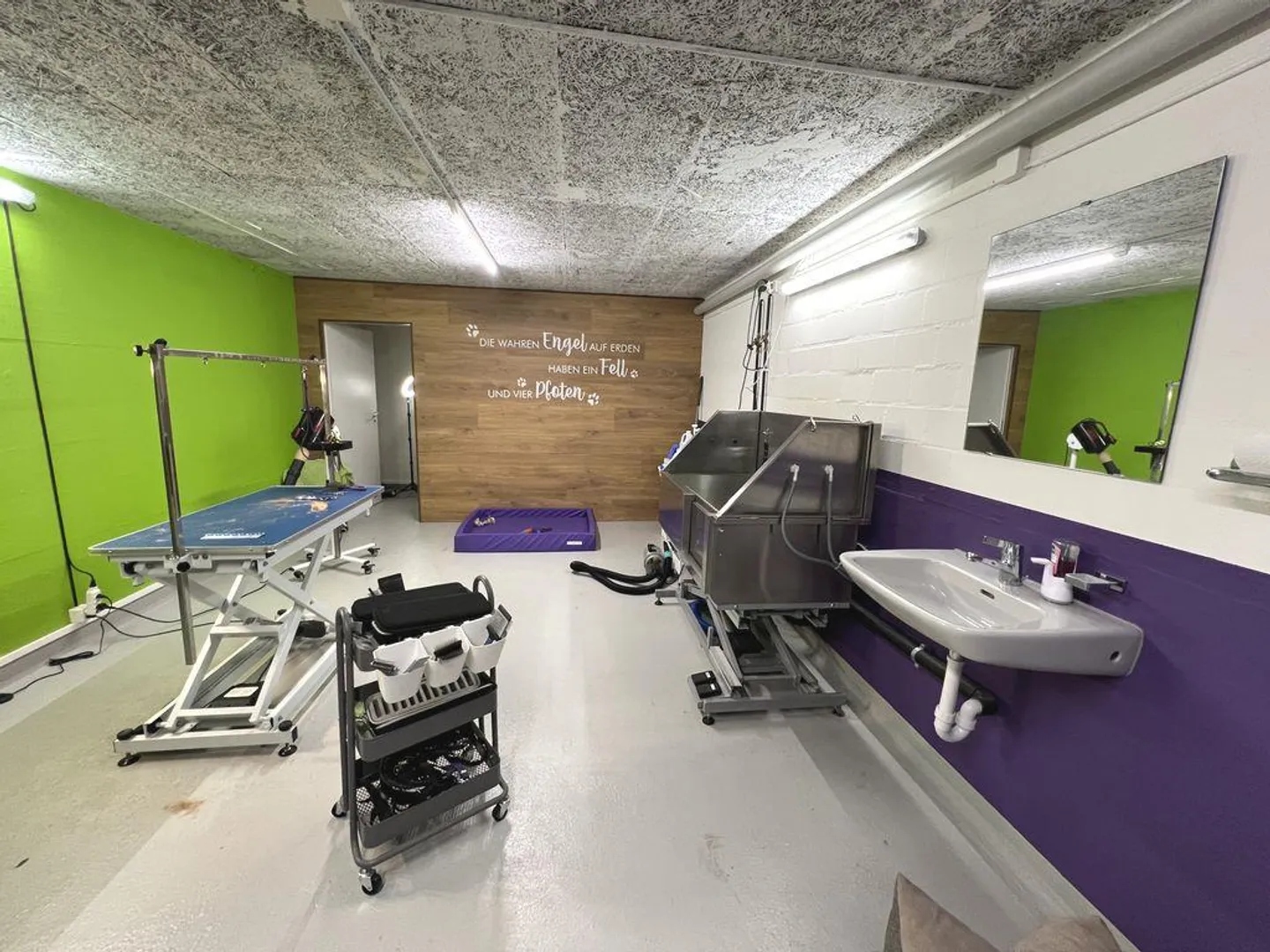 Ihr neues Atelier im Grünen! - Foto 3 von 10