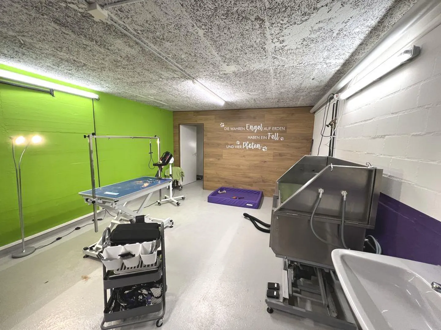 Ihr neues Atelier im Grünen! - Foto 6 von 10