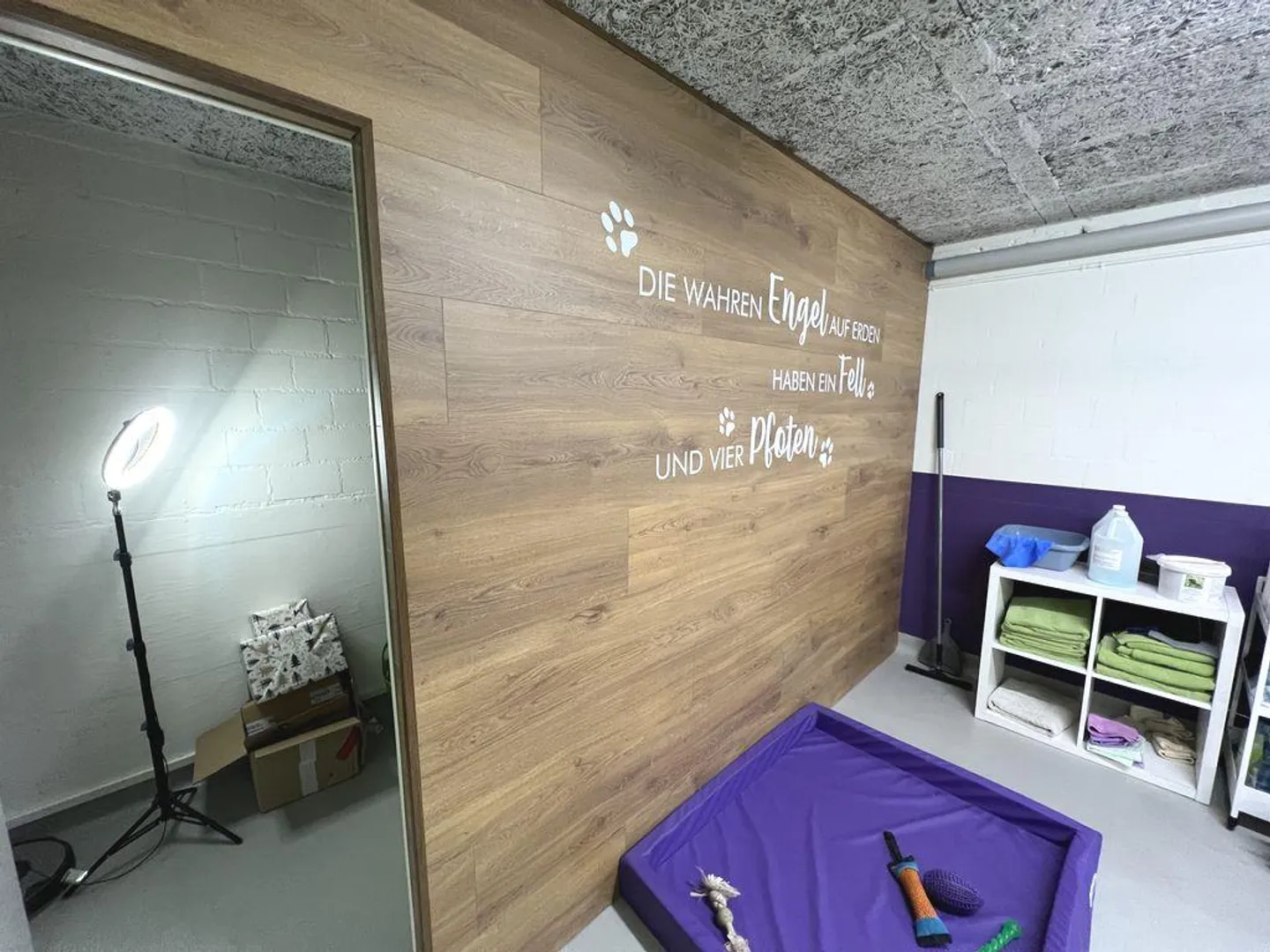 Ihr neues Atelier im Grünen! - Foto 7 von 10