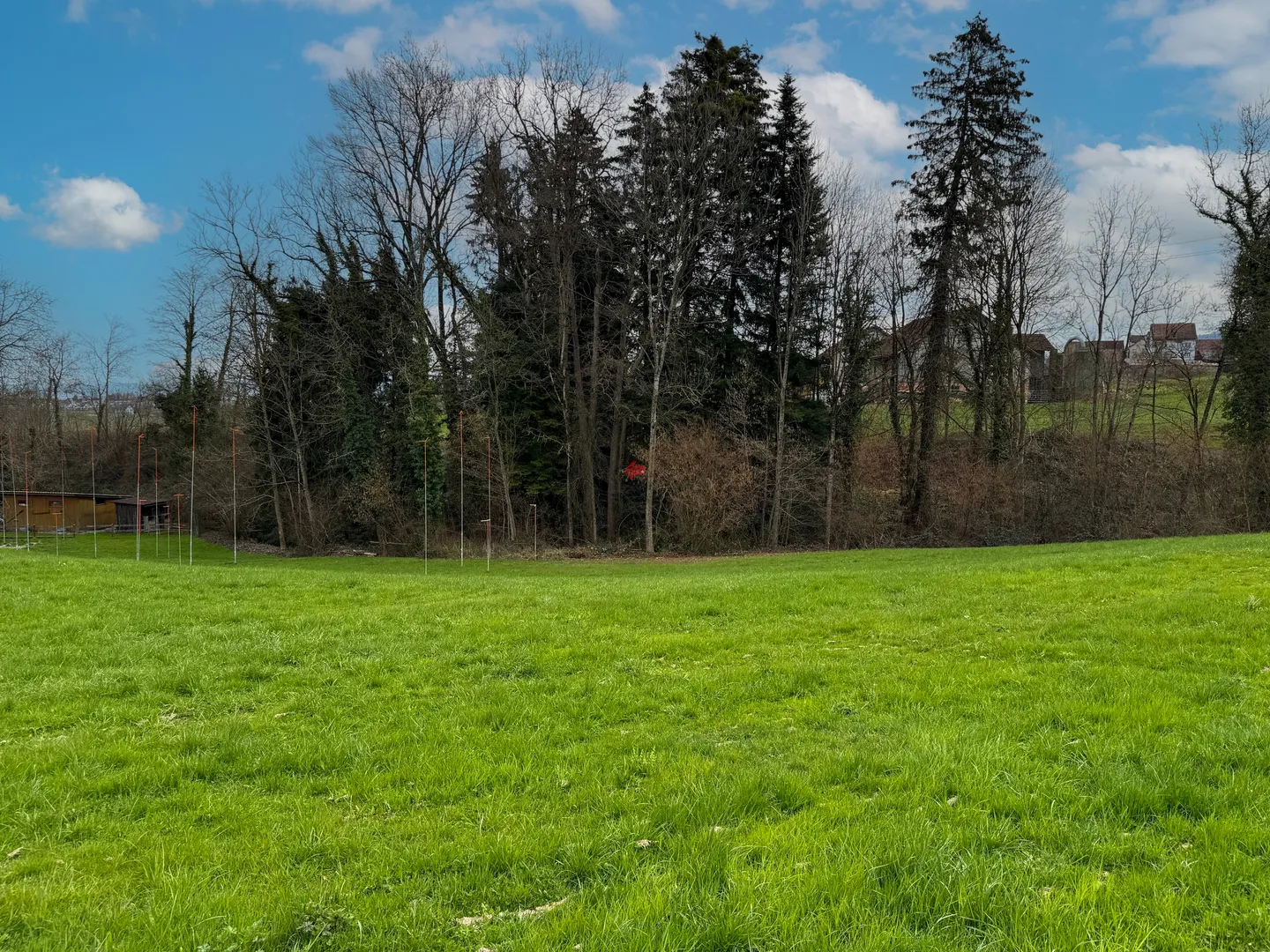 Terreno edificabile attraente vicino a San Gallo - Foto 2 di 3