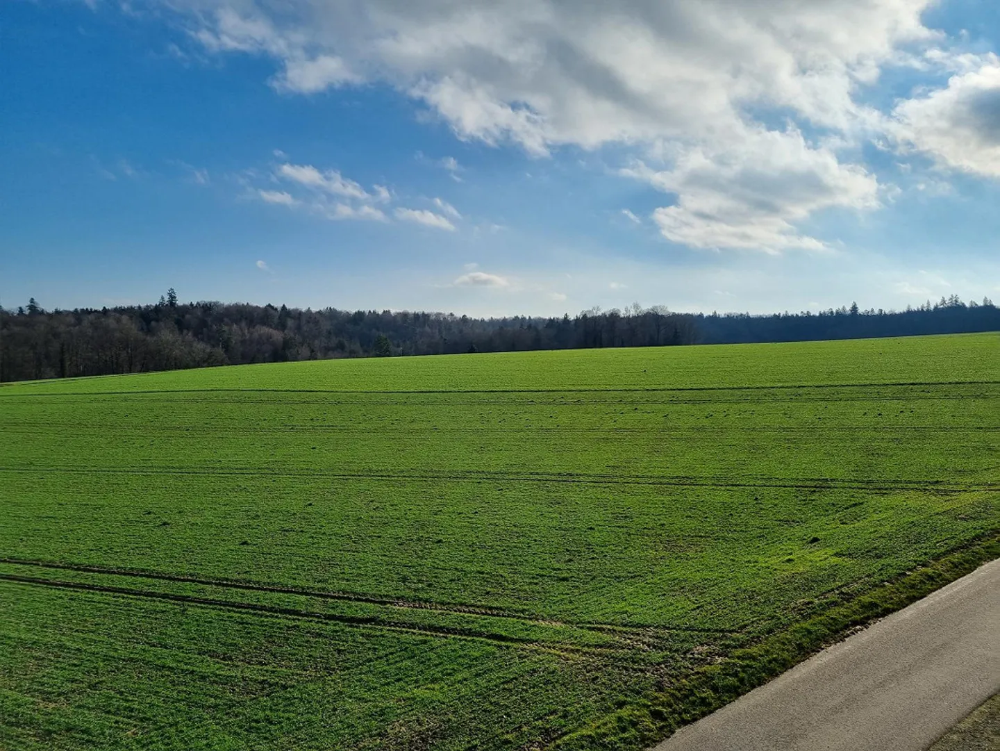 Magnifique appartement sous les combles de 3 1/2 pièces à louer à Messen/SO - Photo 4 sur 16