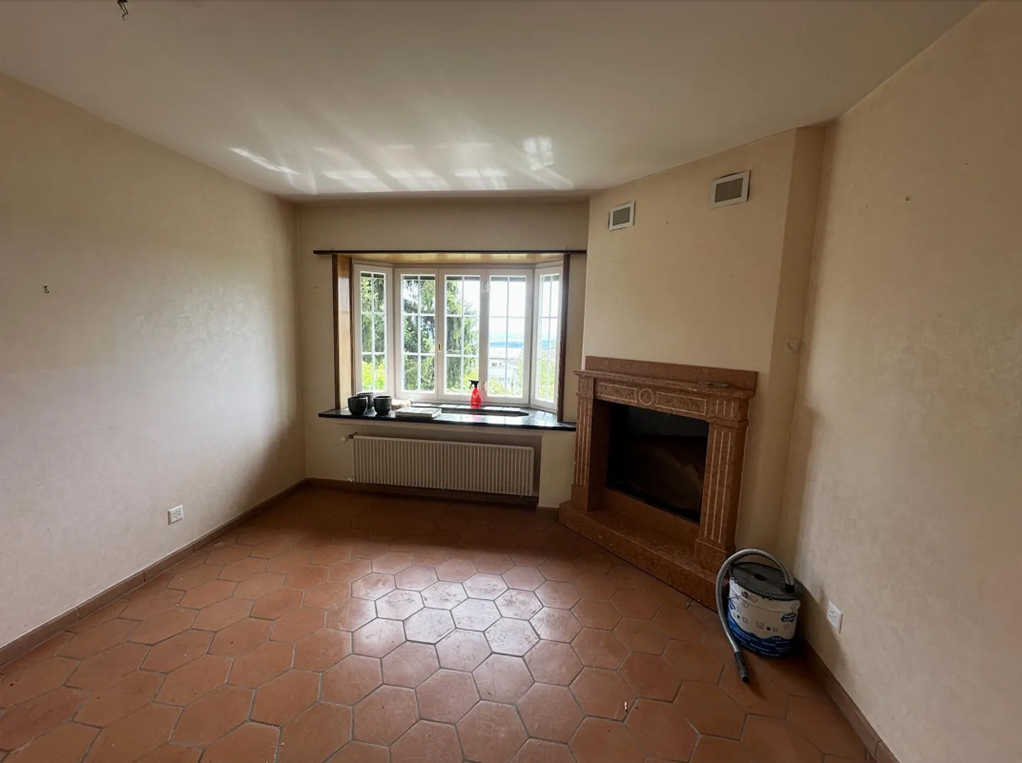 Villa avec vue sur les Alpes à Günsberg à louer - Photo 5 sur 19
