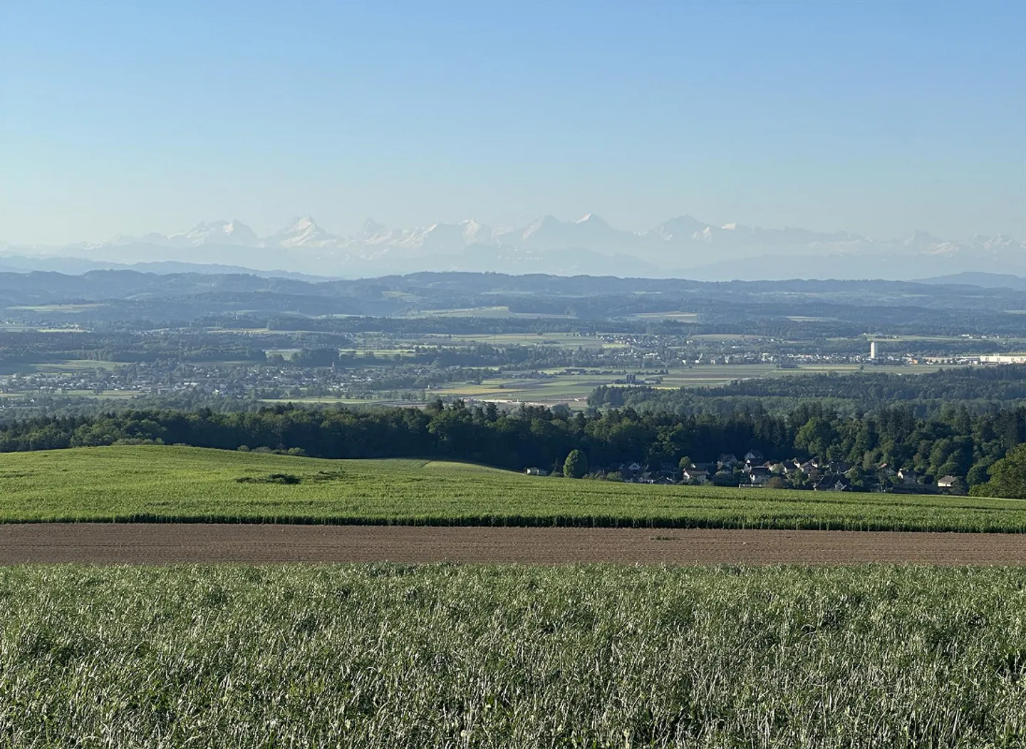Villa avec vue sur les Alpes à Günsberg à louer - Photo 19 sur 19