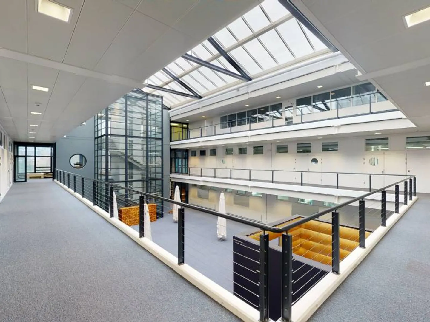 Grande surface industrielle - Meyrin - Photo 5 sur 9