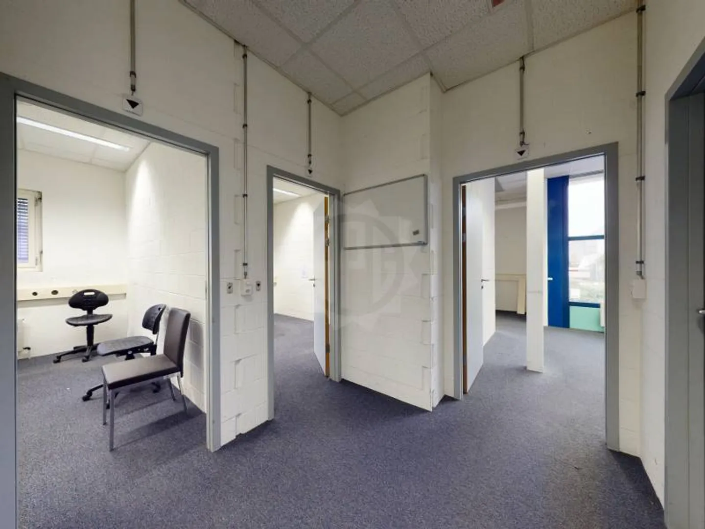 Grande surface industrielle - Meyrin - Photo 8 sur 9