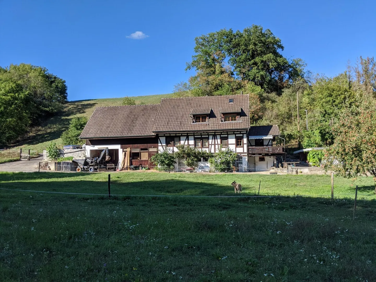 Beuernhaus avec zone de loisirs sports équestres - Photo 2 sur 44