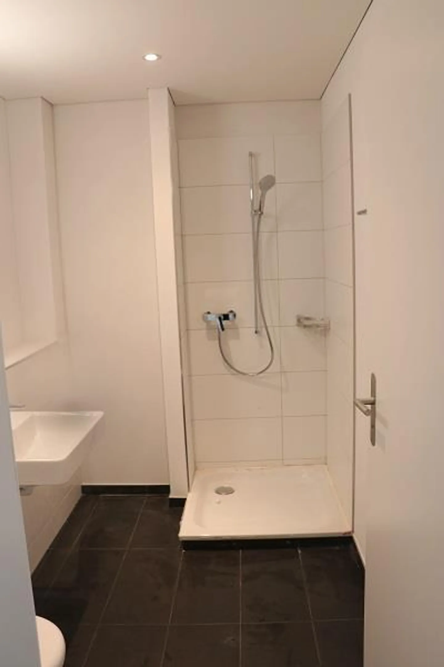 2 1/2 Room Loft Apartment - Photo 3 of 11