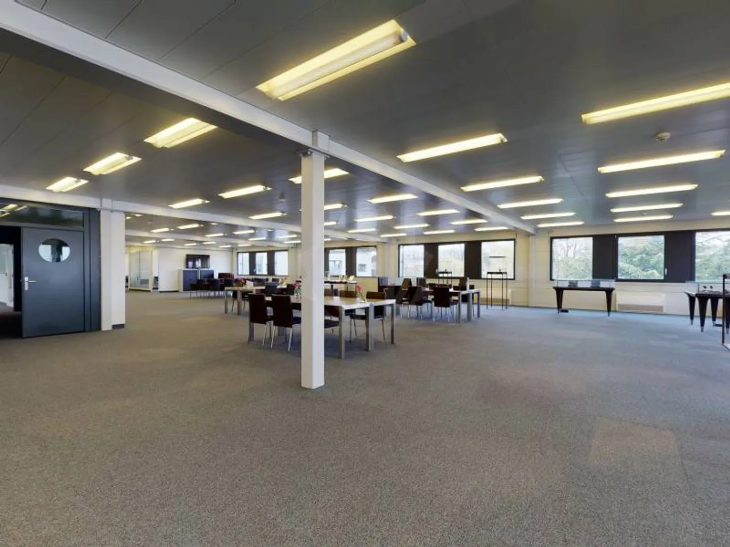 Außergewöhnliche Industriefläche - Meyrin - Foto 3 von 9