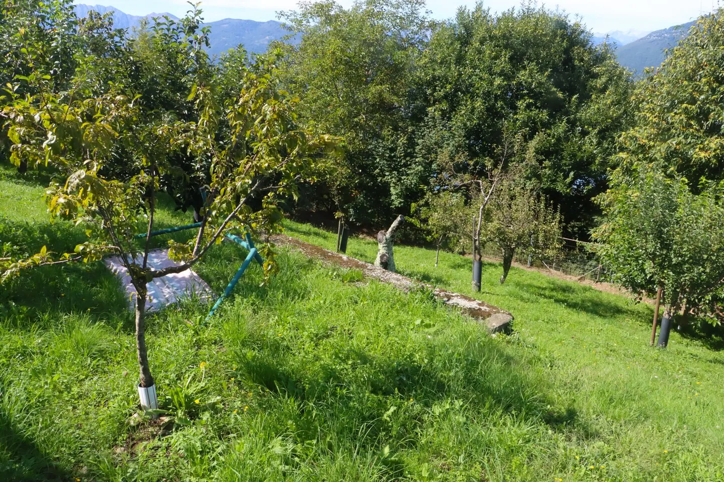 Incantevole Casa Familiare nel Paradiso - Foto 22 di 30