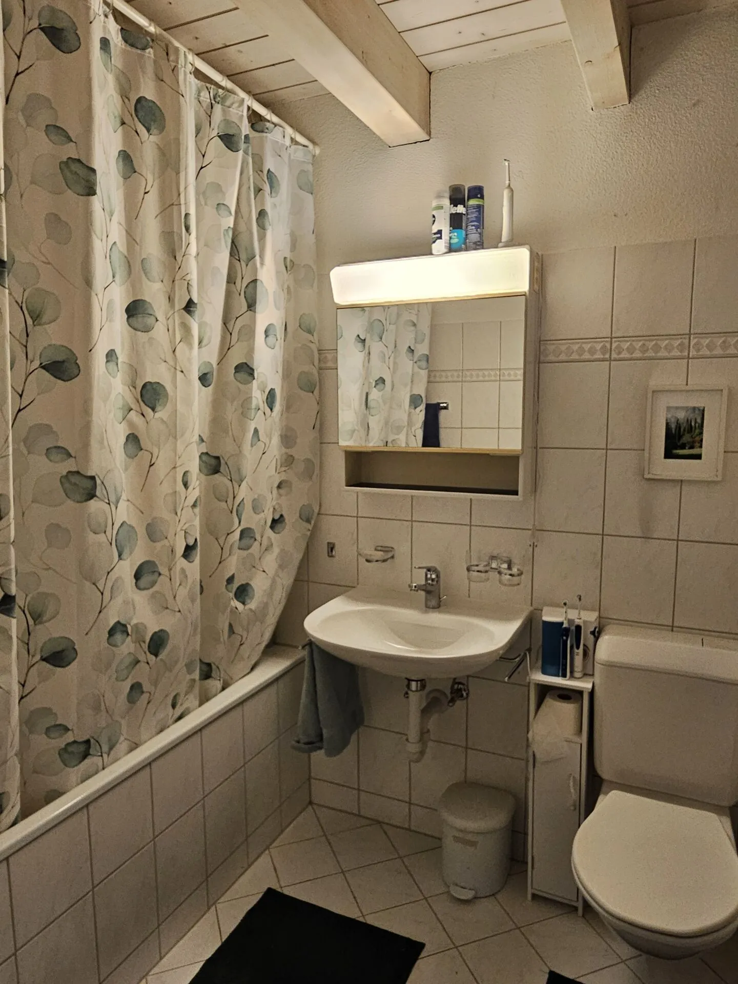 Beautiful attic apartment with balcony - Photo 8 of 9